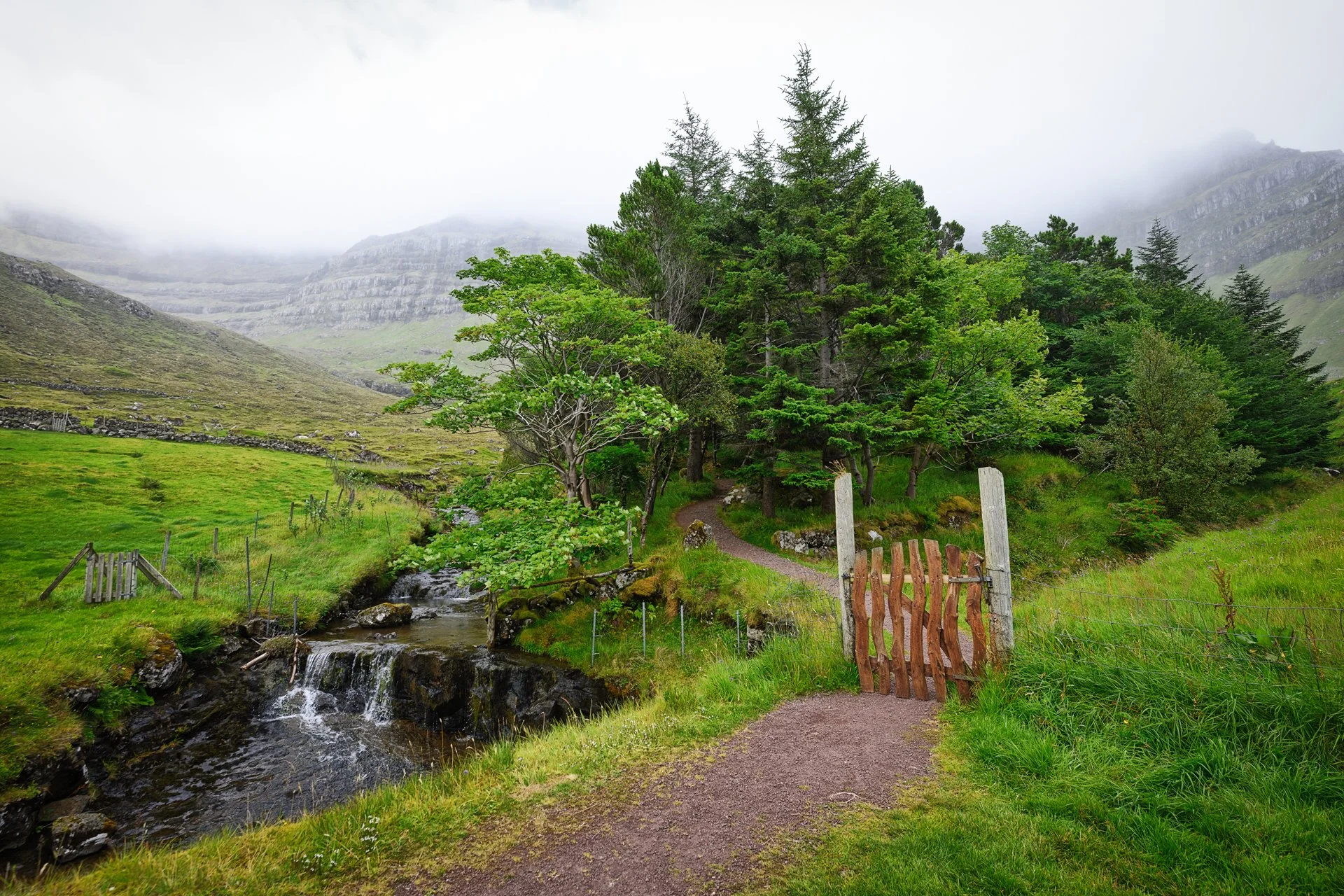 Kuhn-Mark_Enchanted Forest.jpg