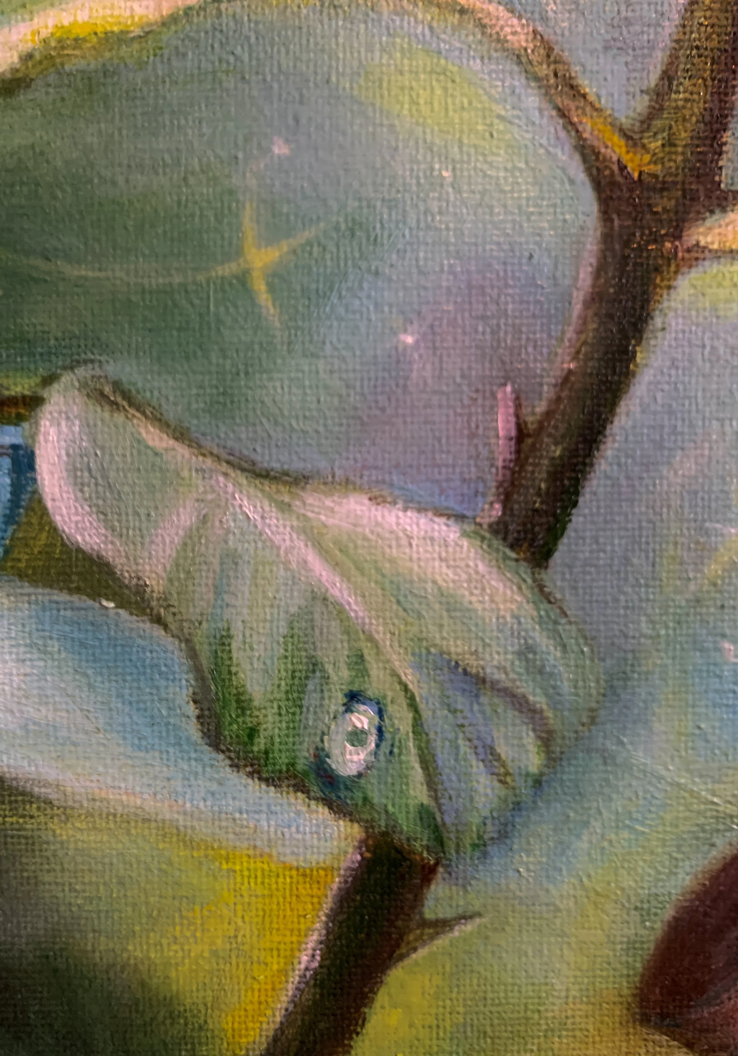 RB_TheLittlePrince-Love_closeup2 (1).JPG