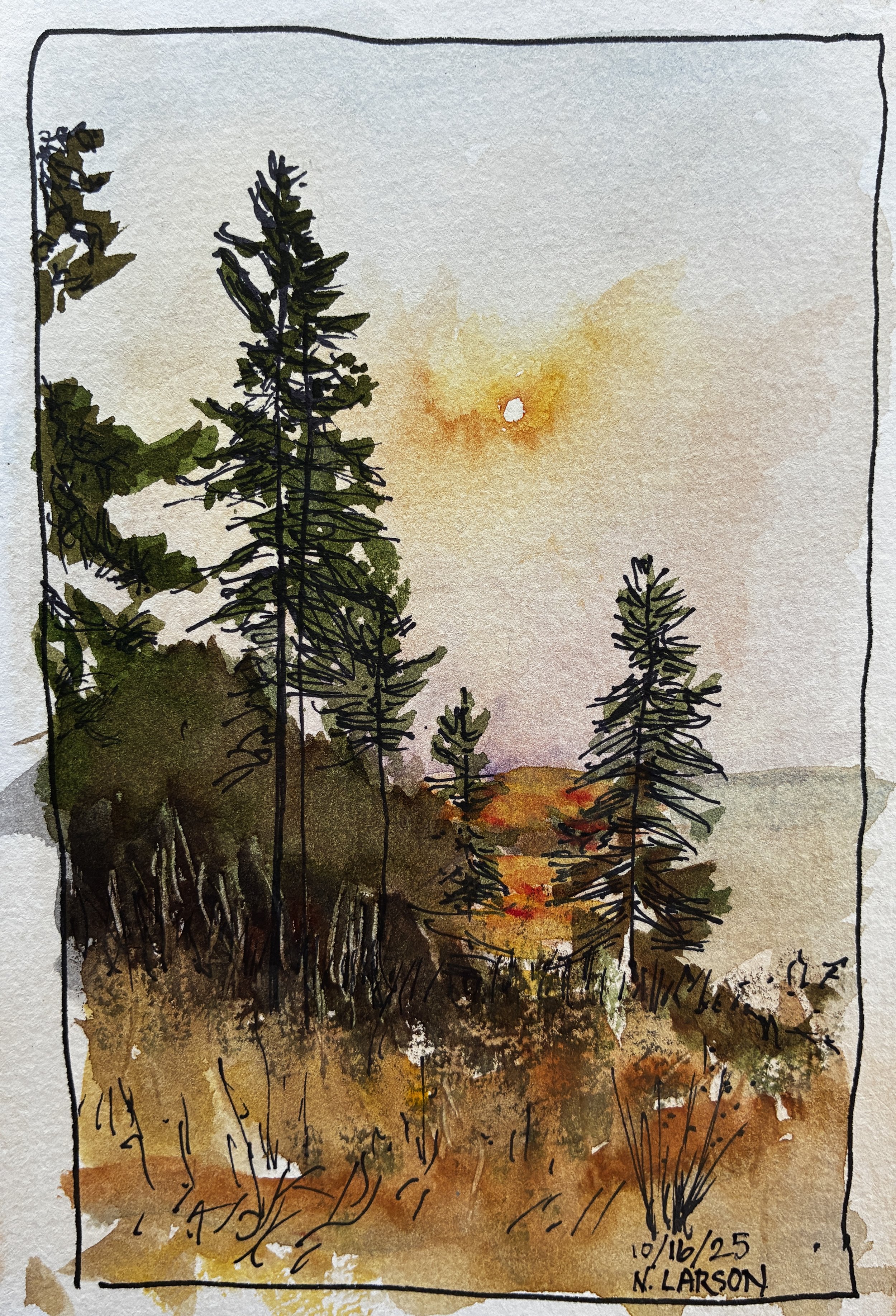 forest.jpg