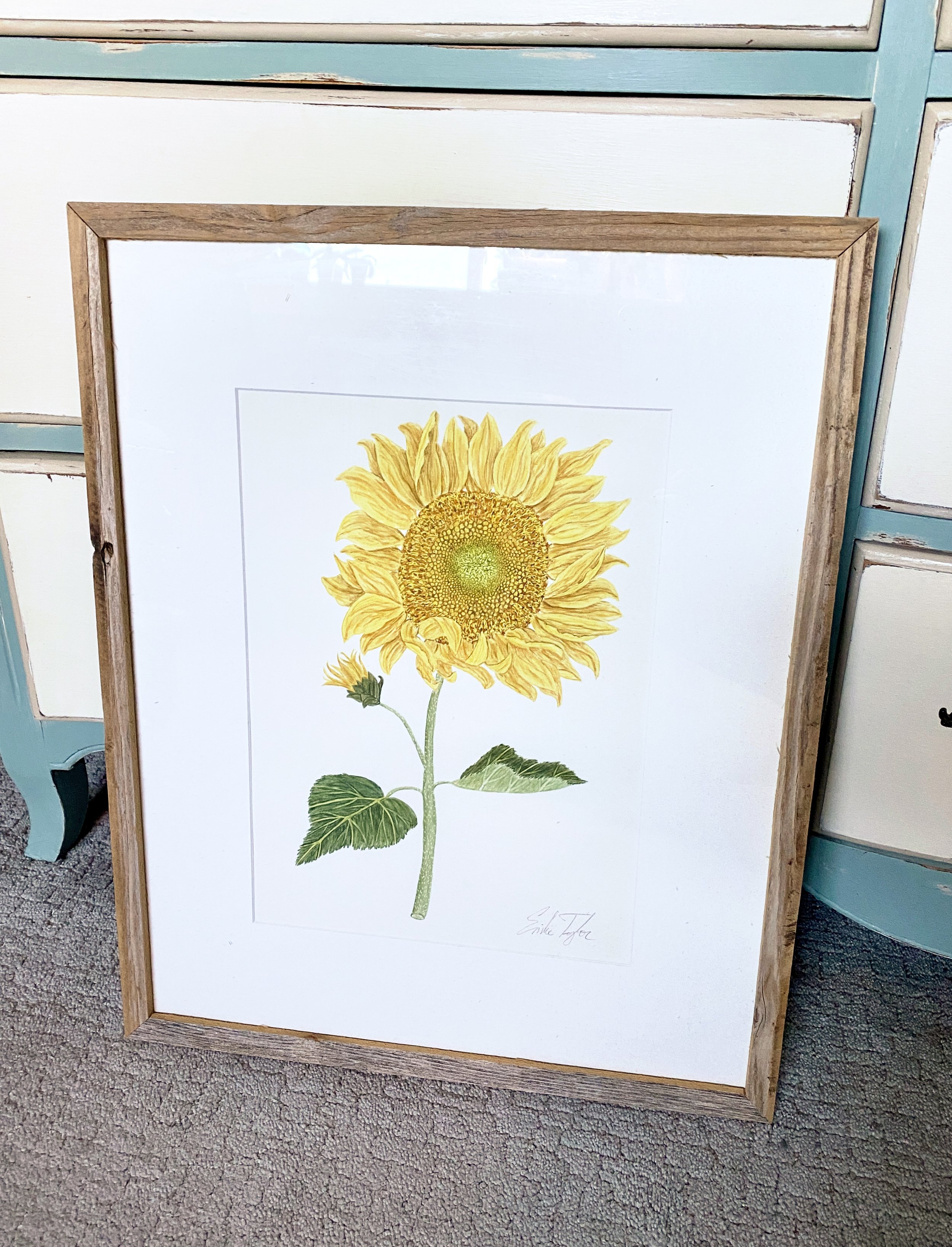 Emilie Taylor-Sunflower.jpg
