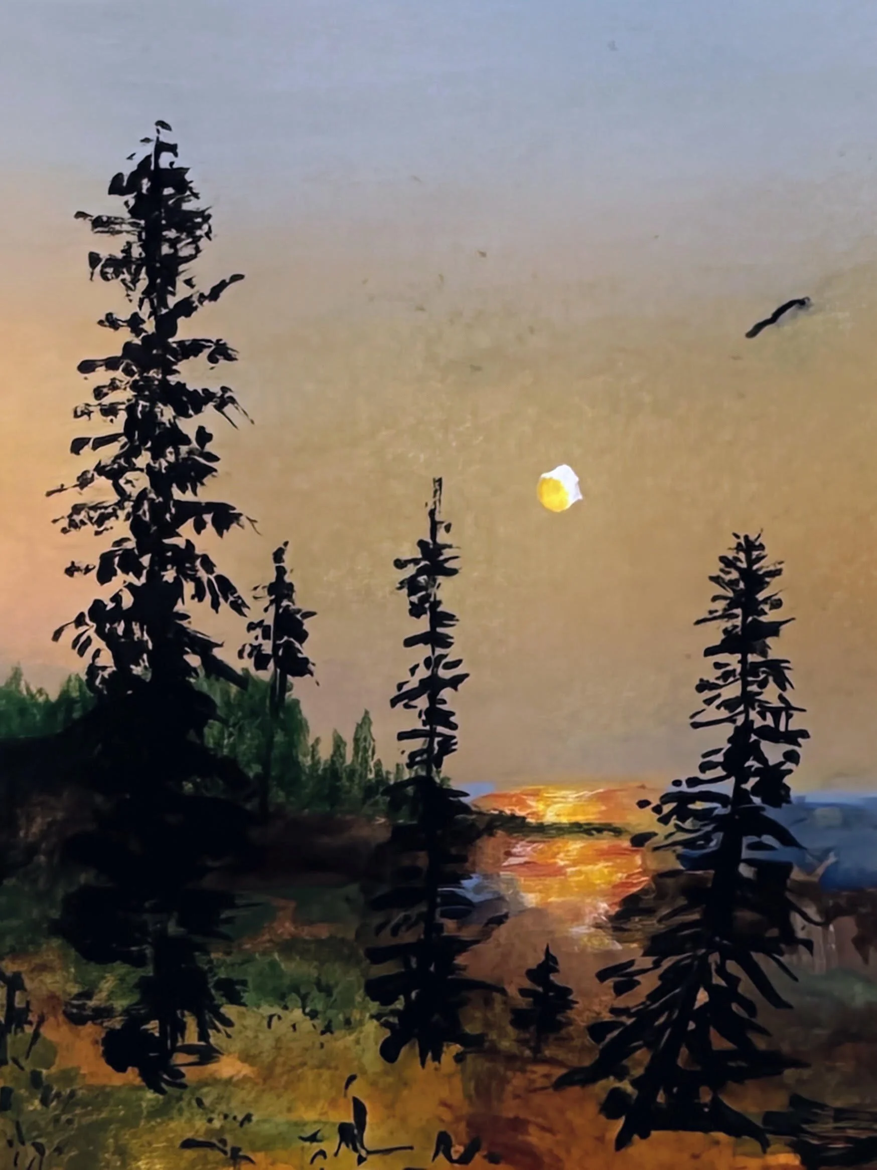 woods.sun.jpg