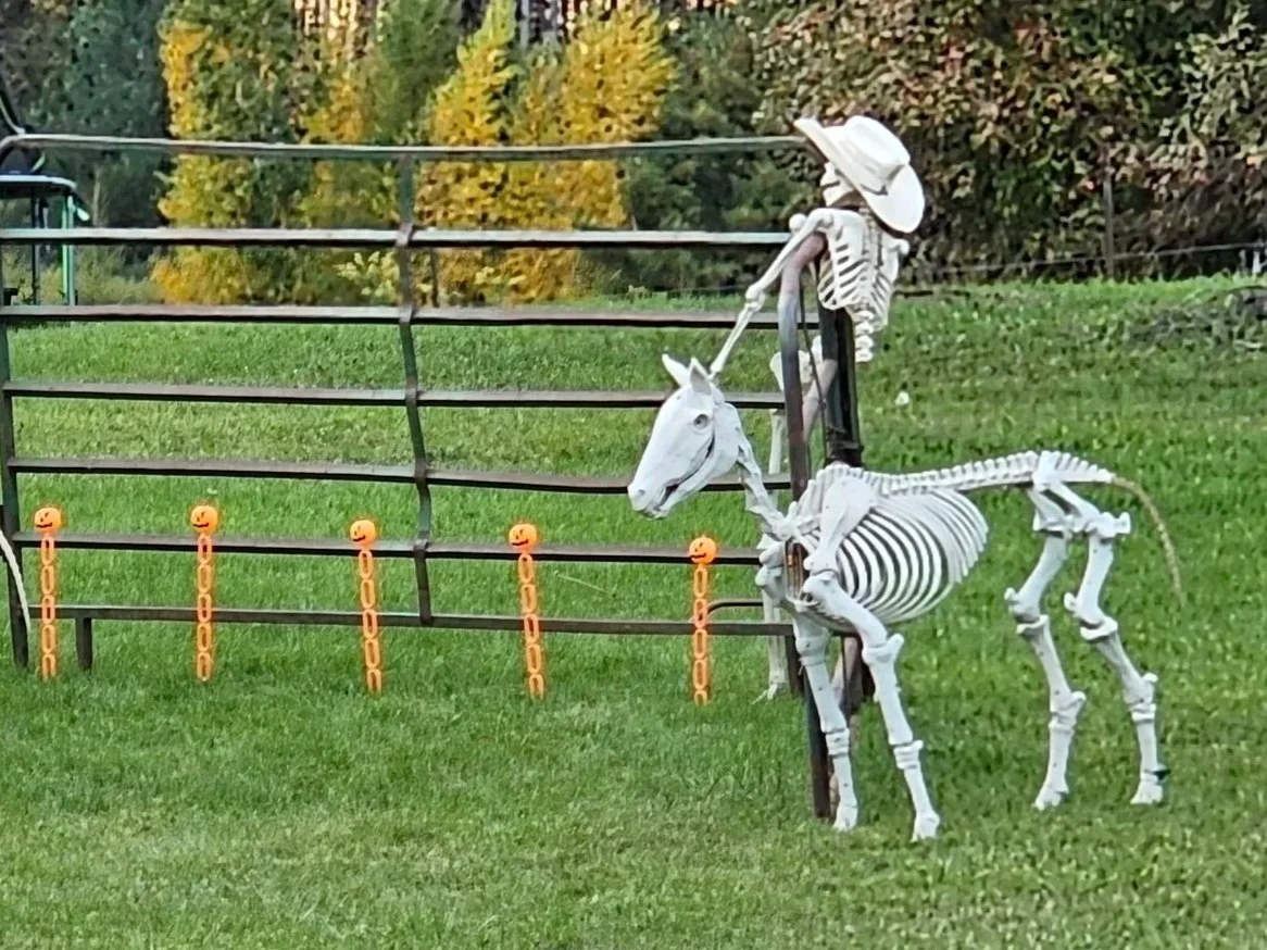 20261005_173543.jpg