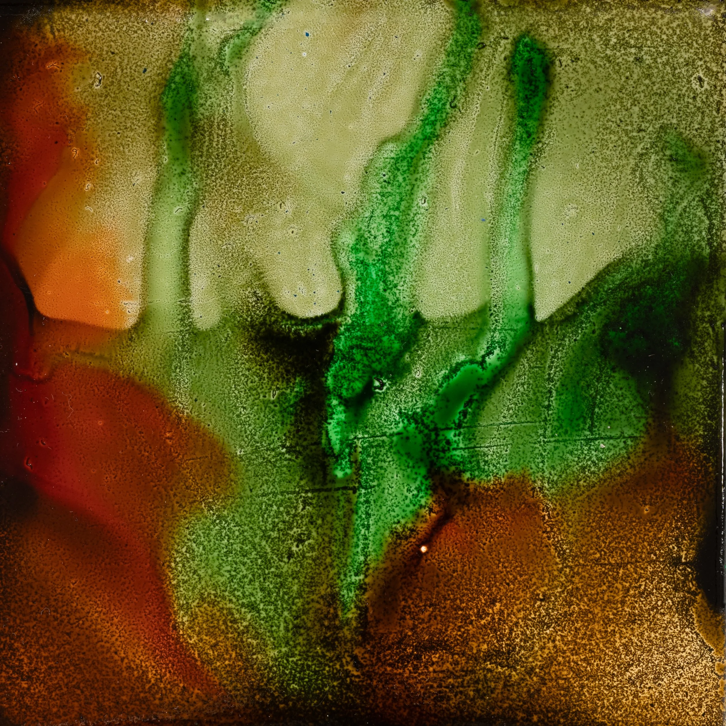 Spring Fling - Keith Stangeland.JPG