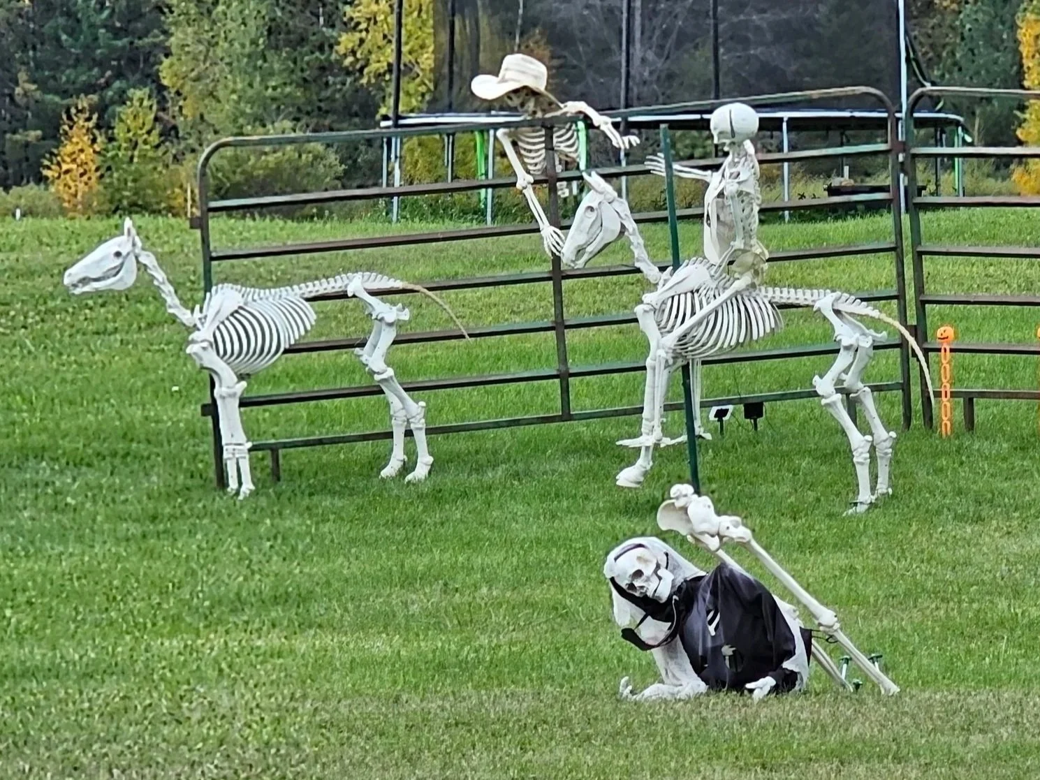 20261005_173543.jpg