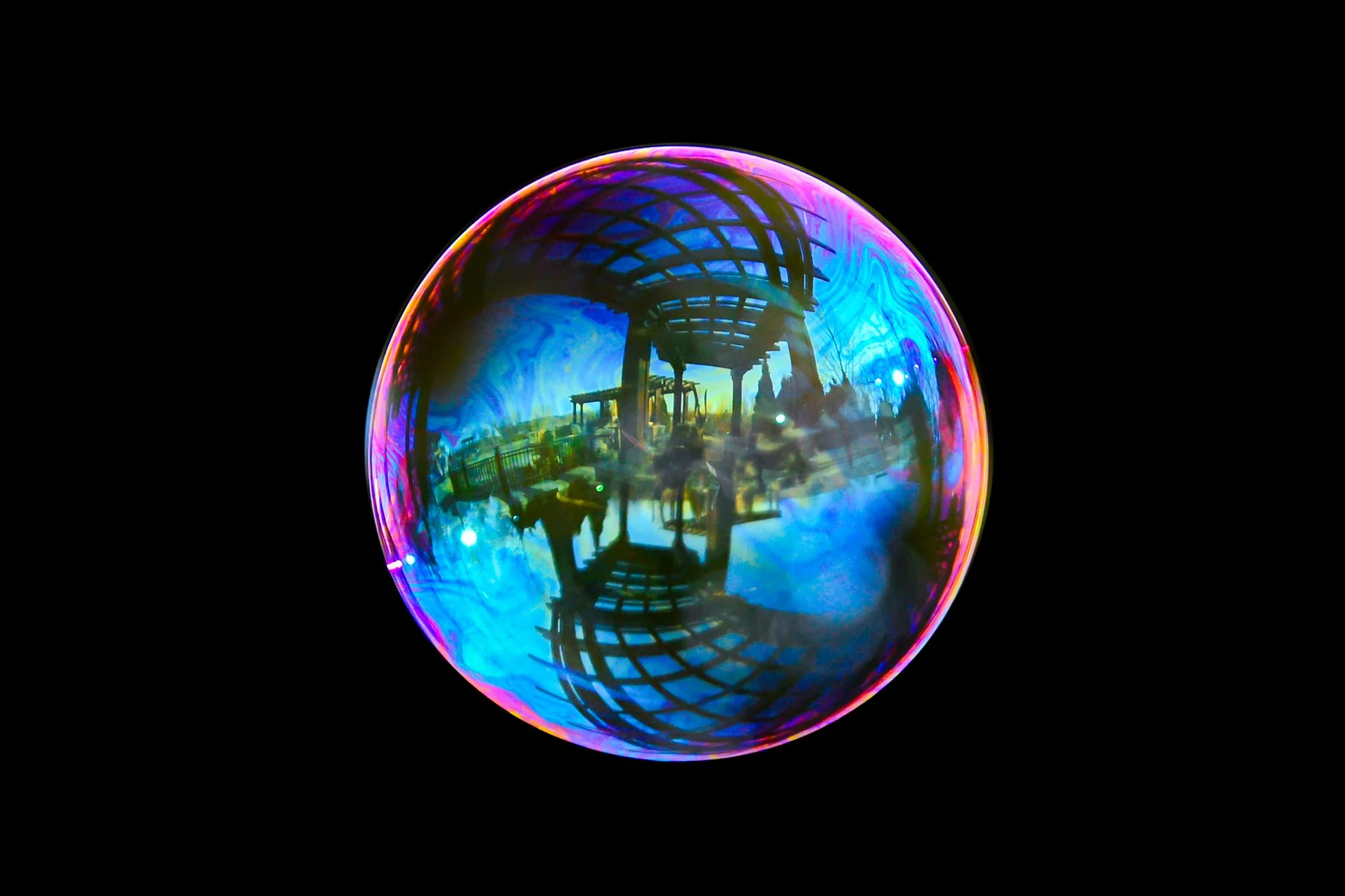 Garden in a Bubble -  Rachel Hall.jpg