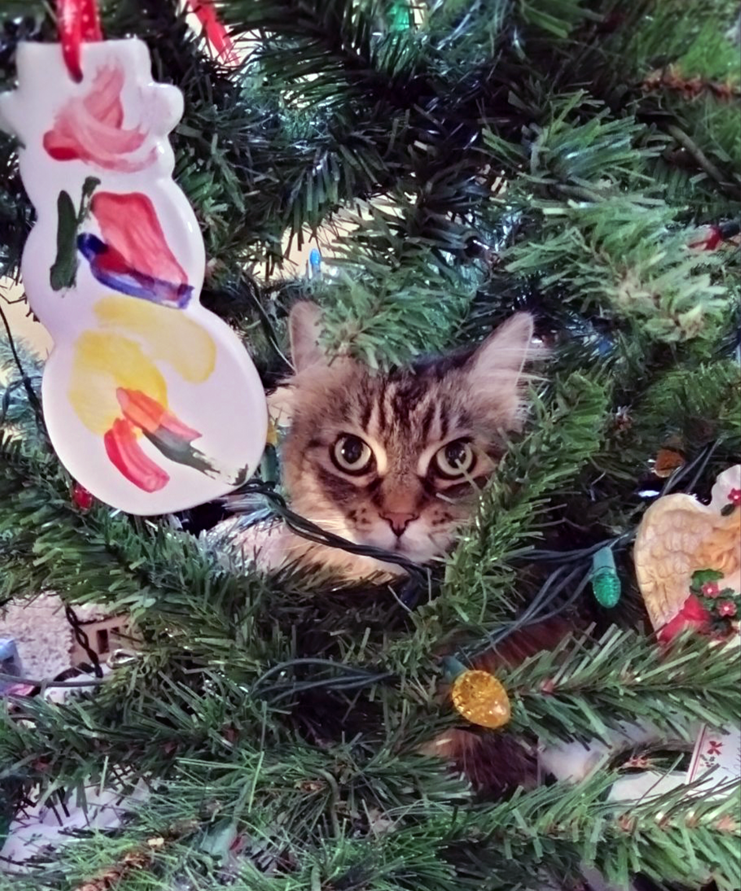 Christmas with Chloe.png