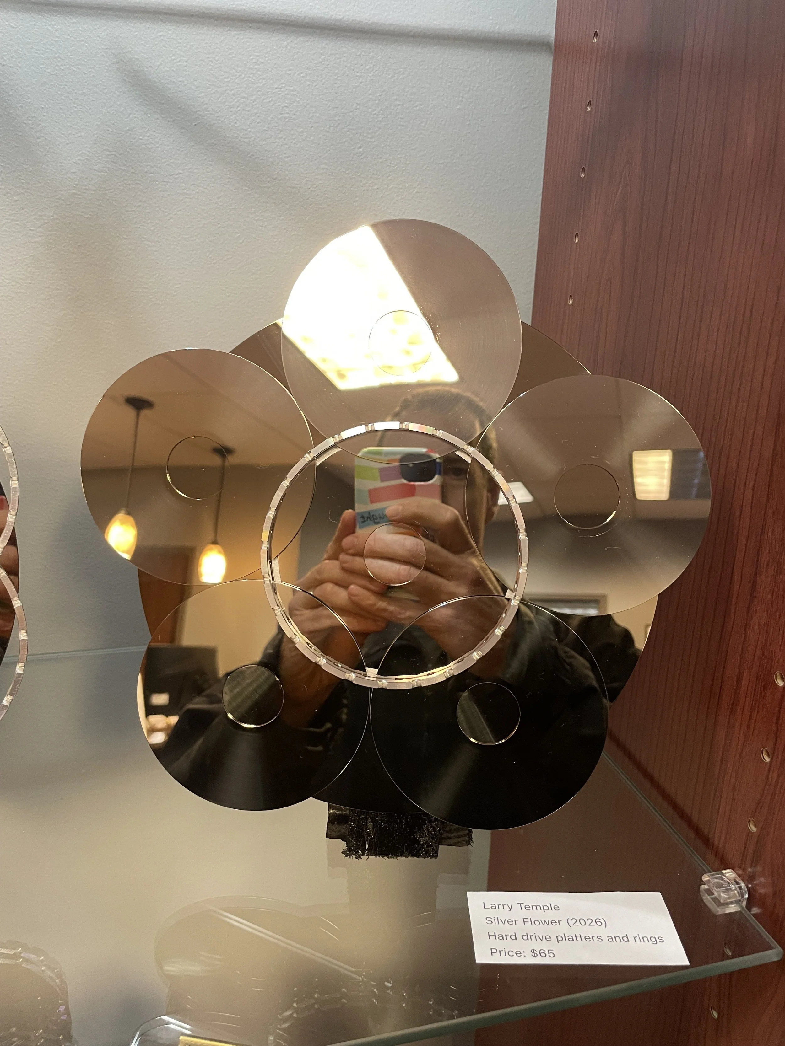 Silver Flower - Larry Temple.JPG