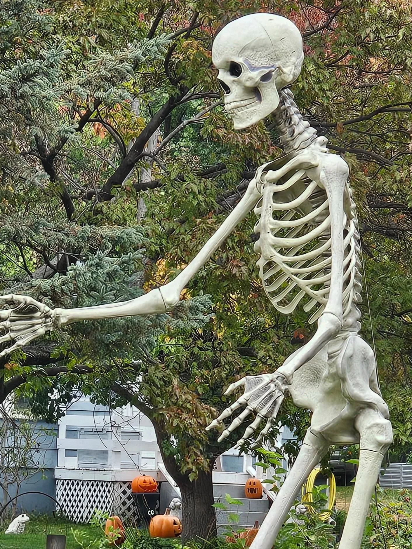 20261008_162208.jpg