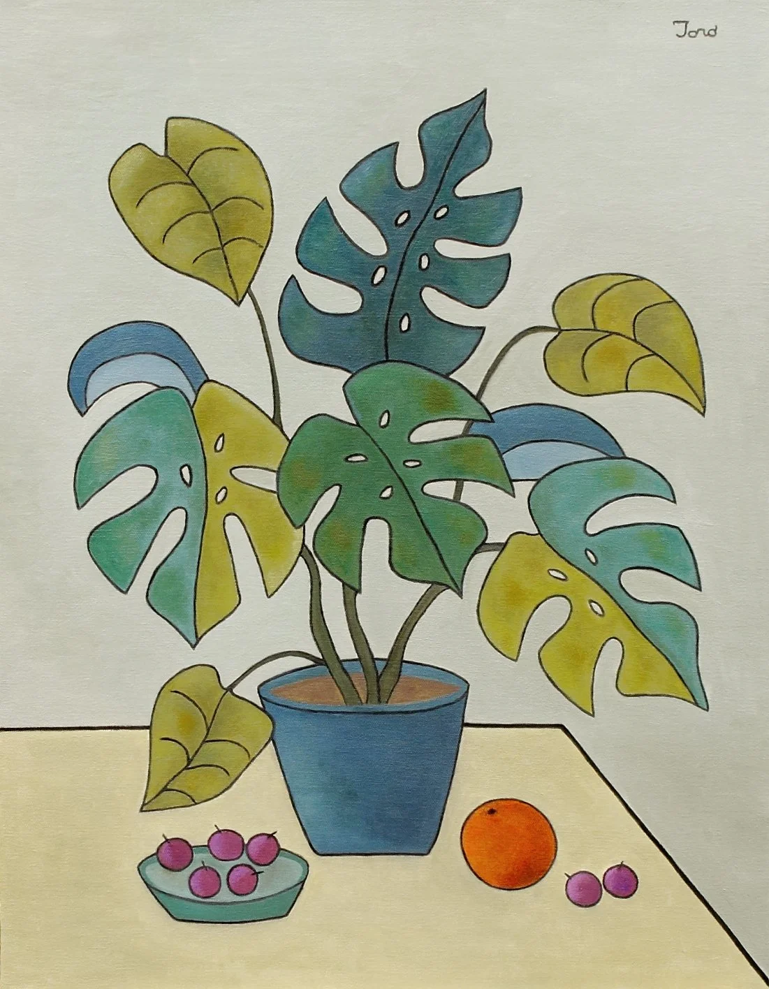 Monstera Melody sm.JPG