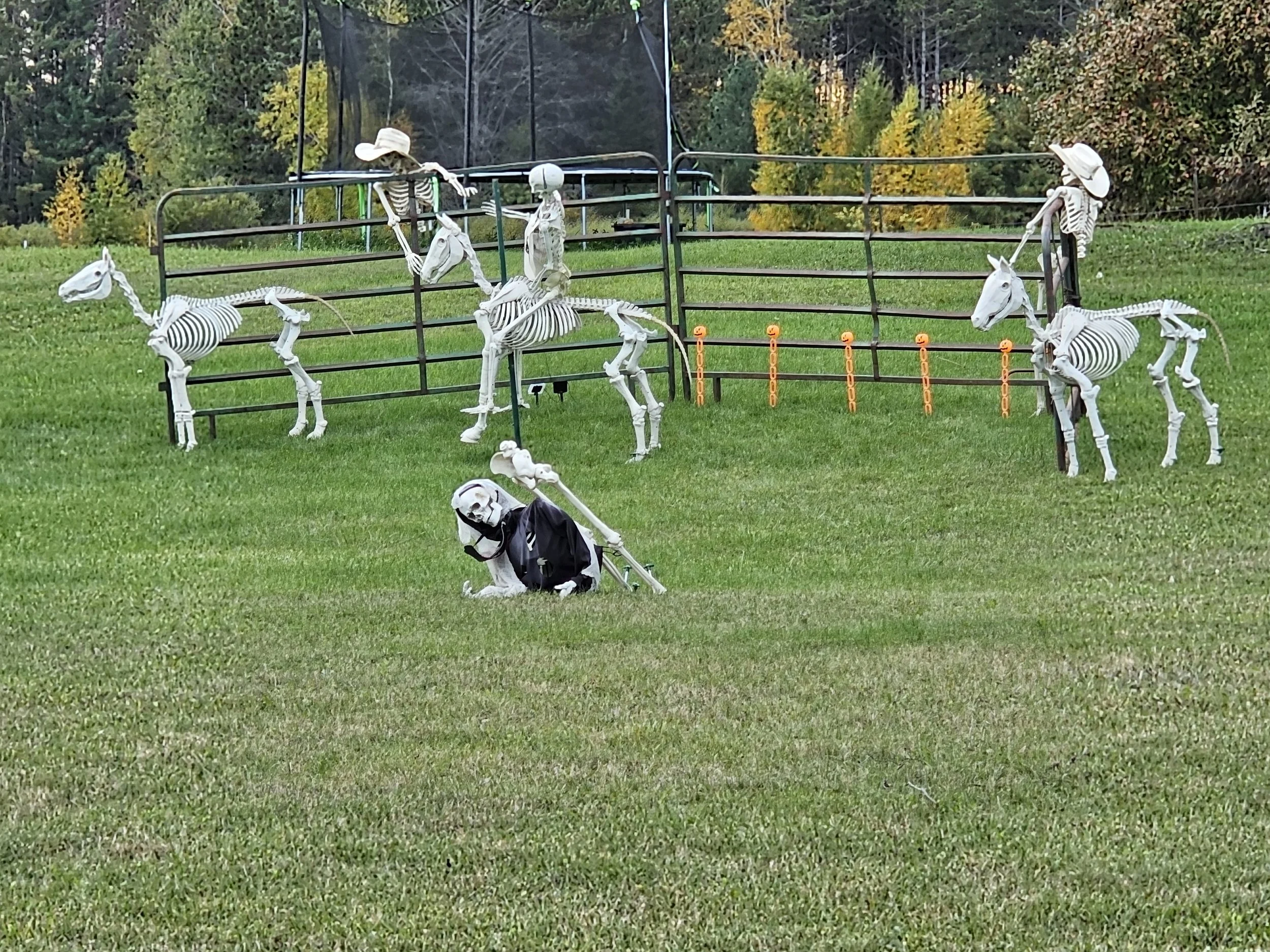 20261005_173543.jpg