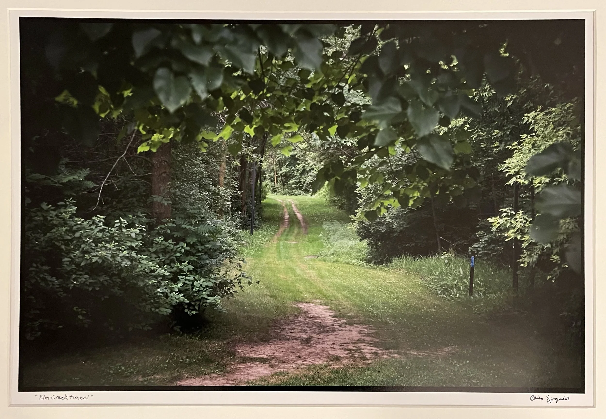 Elm Creek Tunnel by Brian Sjoquist.jpeg