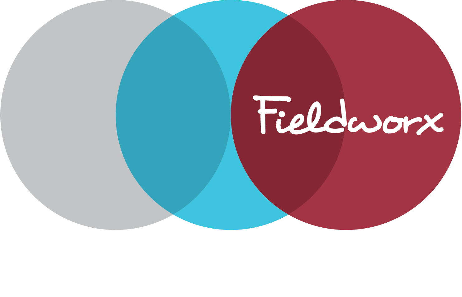 Fieldworx