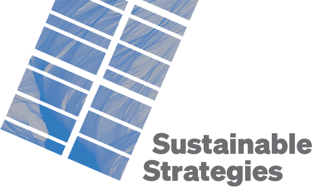 SUSTAINABLE STRATEGIES 