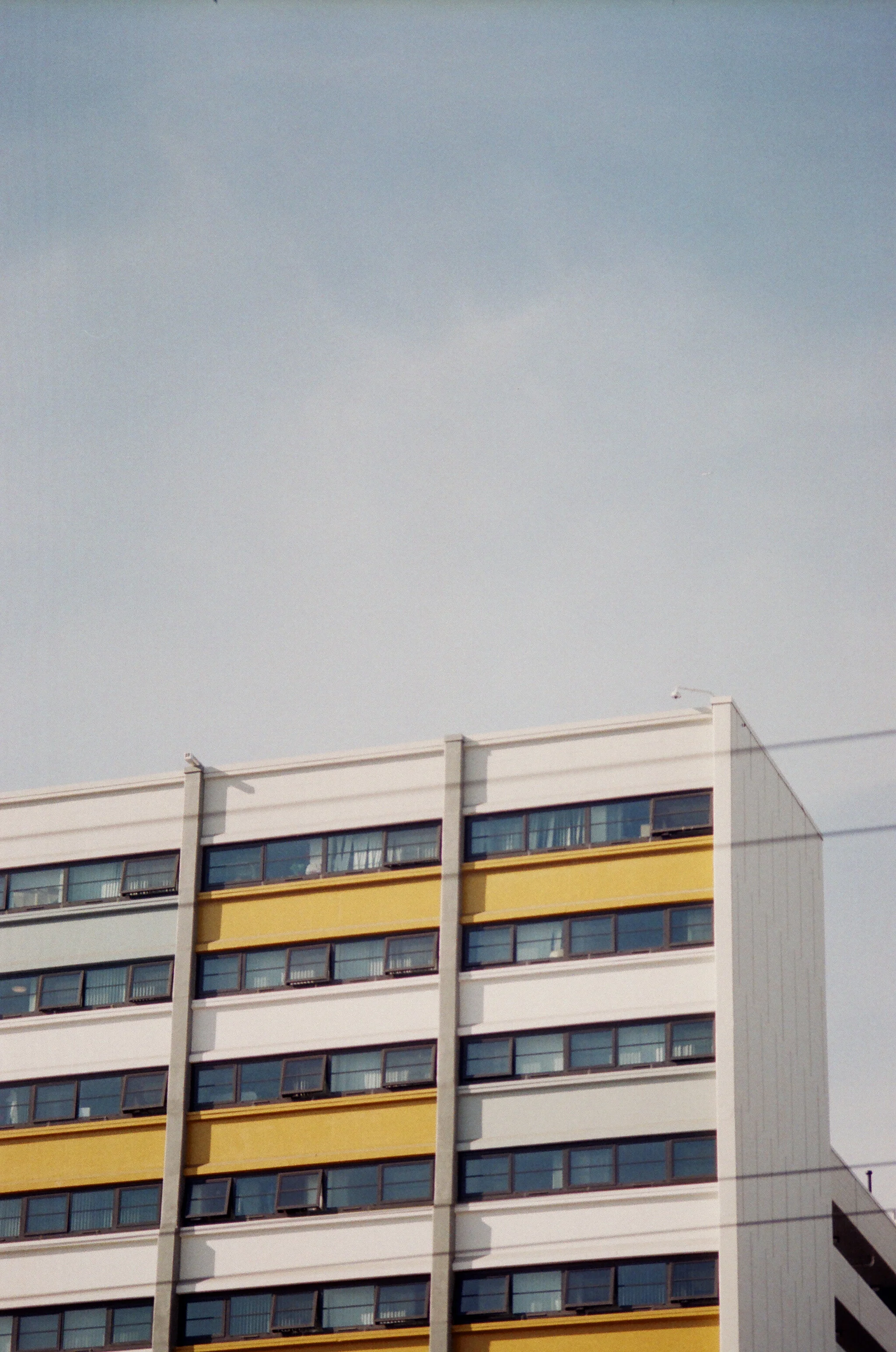 76450028.jpg