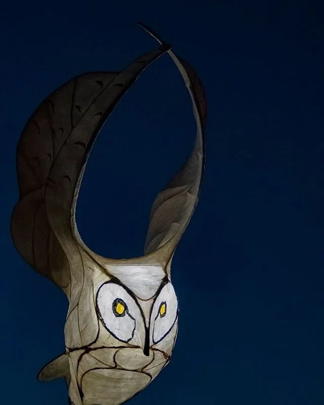 We are so lucky to have @chris.leboutillier on our island who has taken beautiful photos like this one of our studios&rsquo; luminaries! Thank you Chris! ✨
&bull;
&bull;
&bull;
&bull;
#luminary #luminaryart #owl #owls #owlart #owlsculpture #sculpture