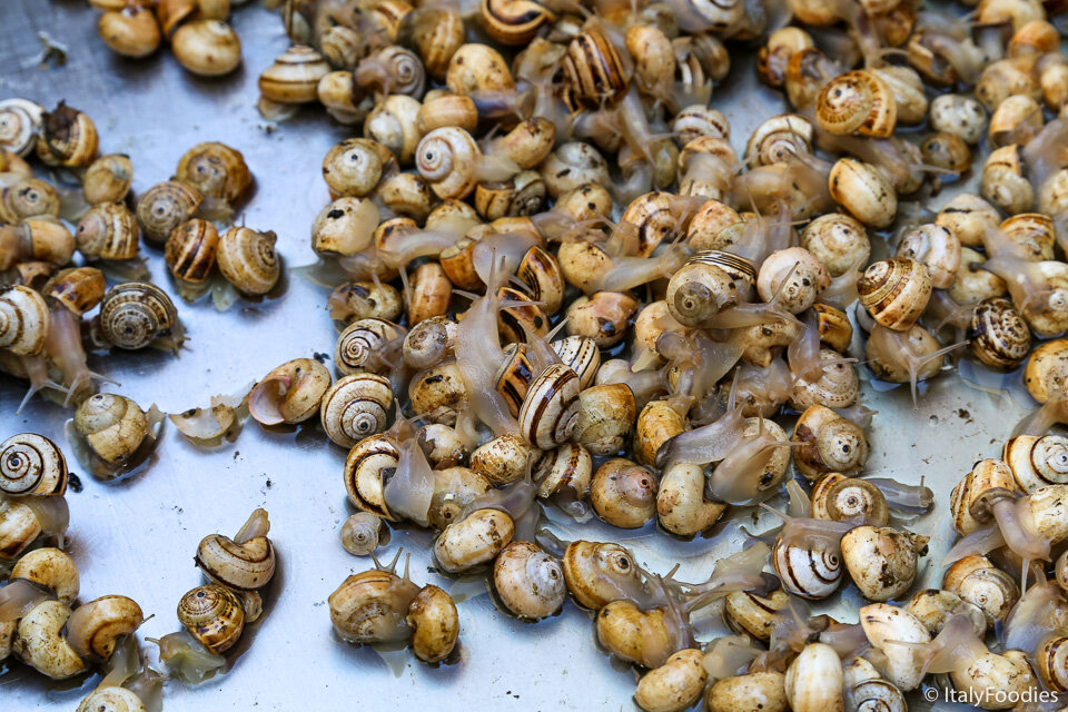 Snails, Rialto Market