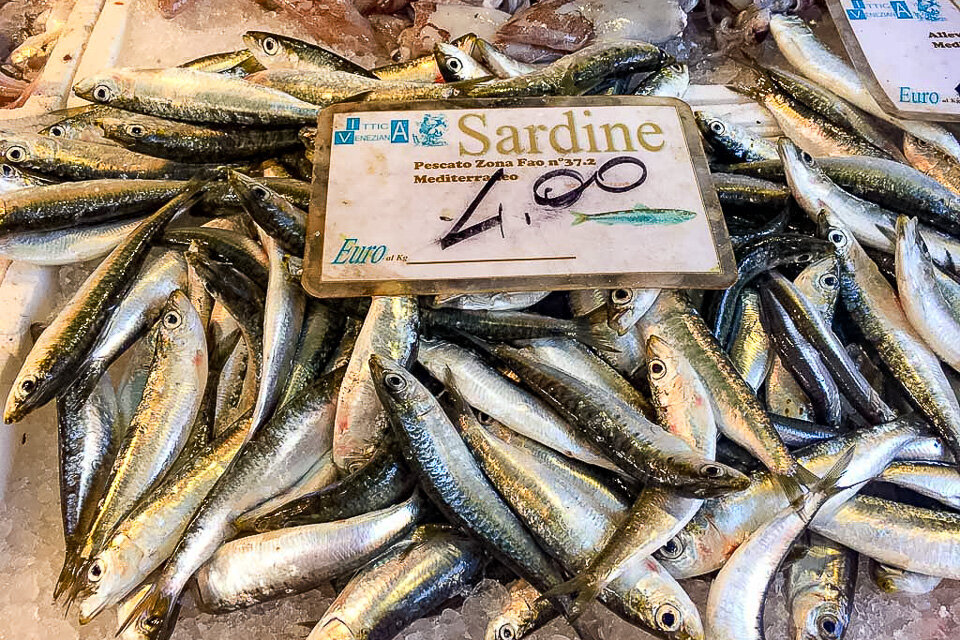 Fresh sardines at the Venice markets