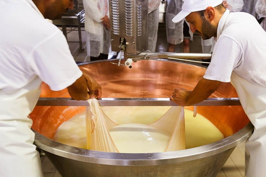 making Parmigiano reggiano cheese