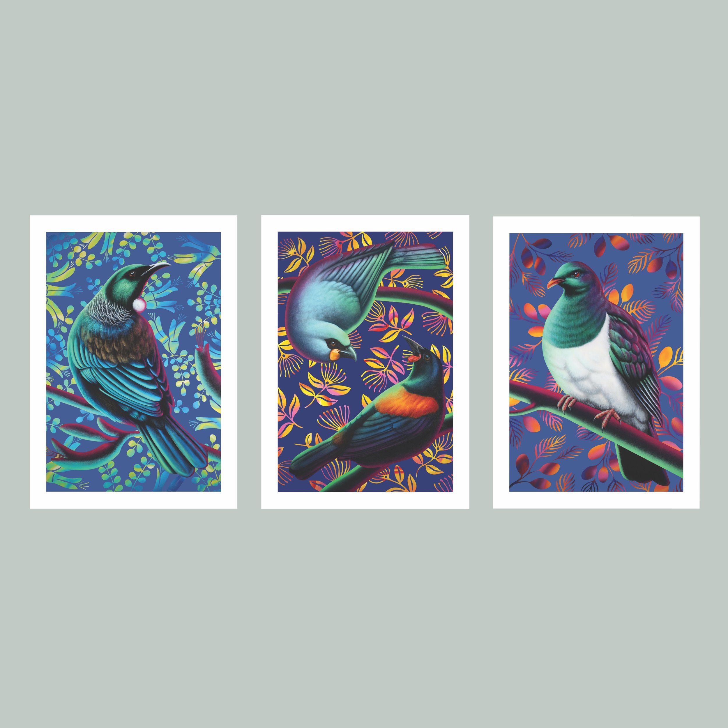 web bird trio.jpg