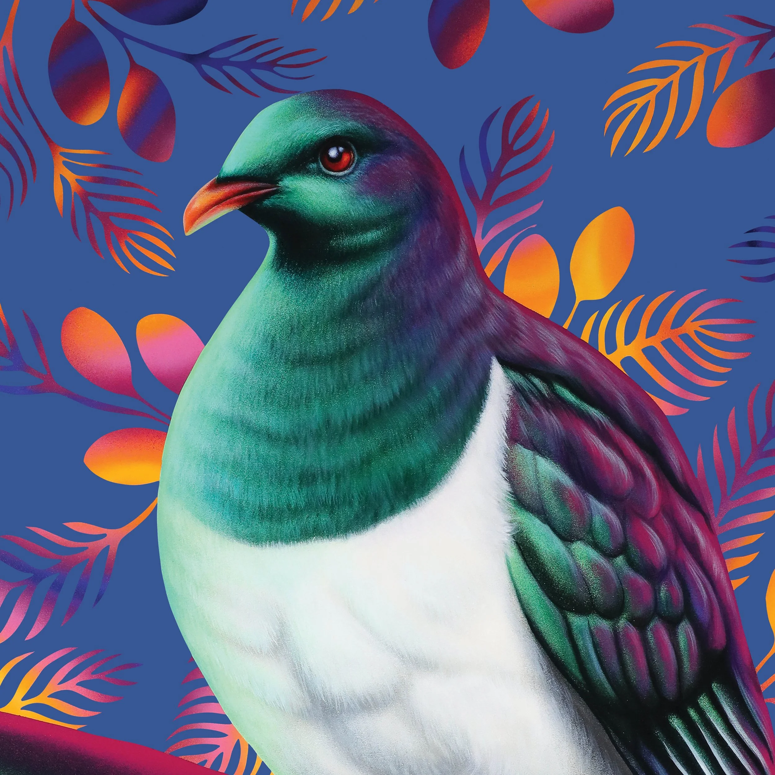 web Kereru & Miro Berry close up.jpg