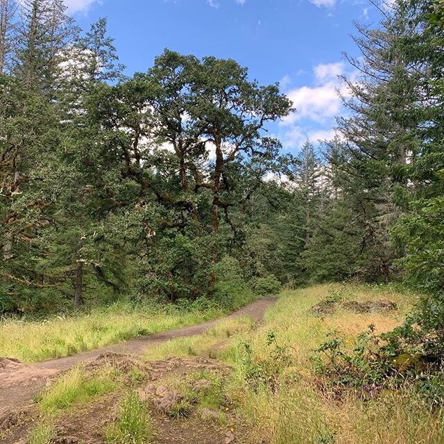 The summer solstice has brought sunshine to the northwest and we have been hiking previously muddy trails in this great weather (ok, there is still some mud...). Have you put on your hiking boots this year? 🥾🦋🌞🐕 #northwest #washingtonstate #hiker