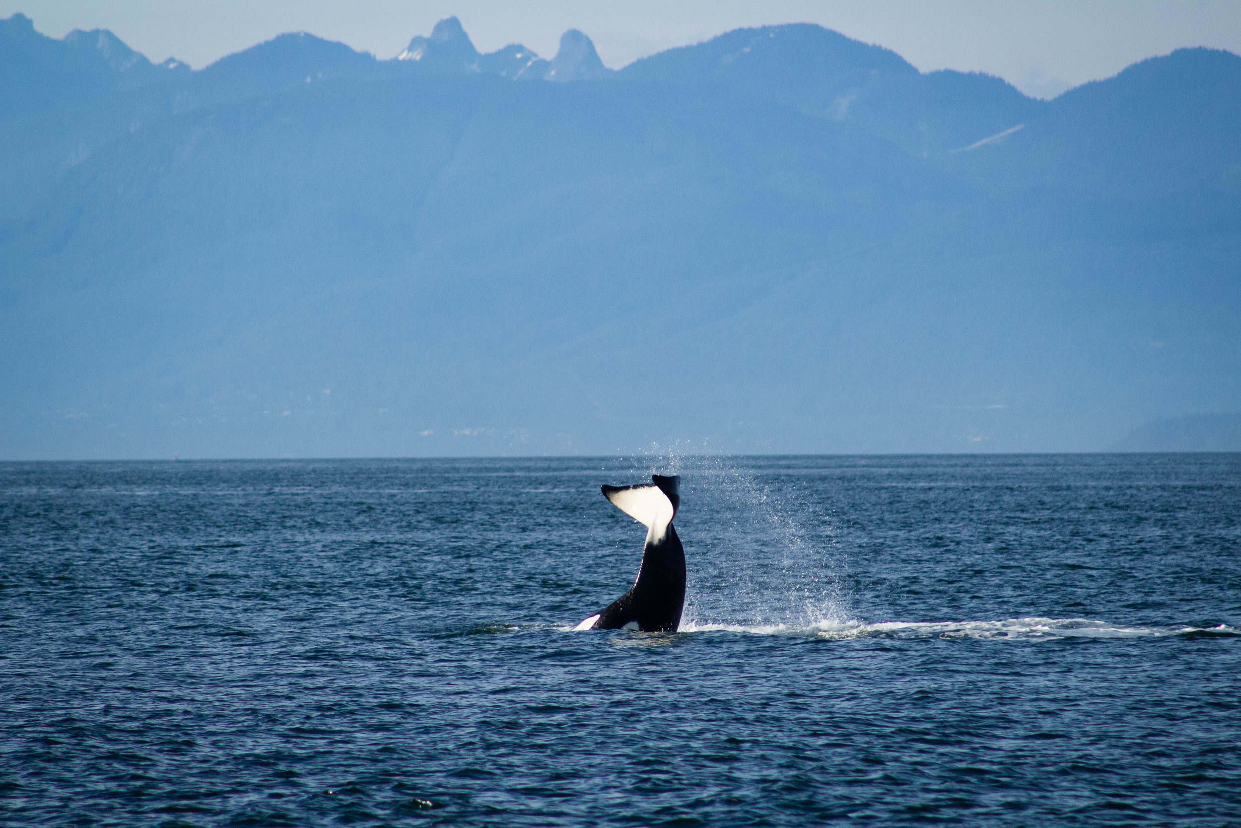 COVID-Safe Travel on Orcas Island, Washington
