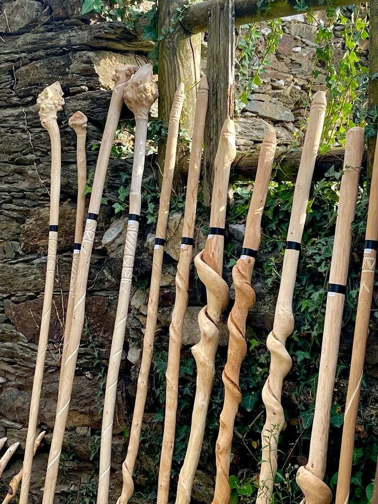 On the Camino in Spain 2023 Fall Trip.JPG