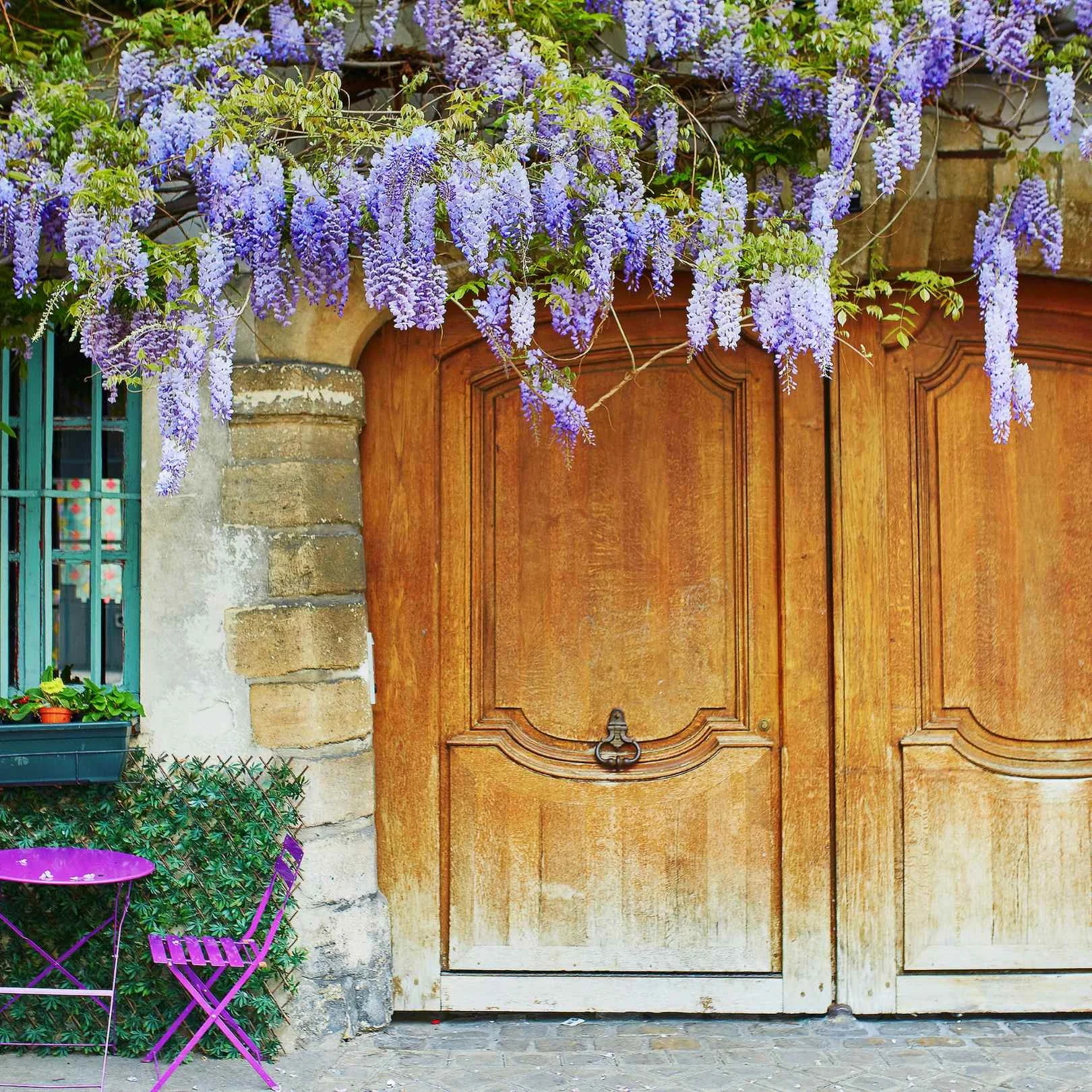 The South of France: Aix-En-Provence & Beyond
