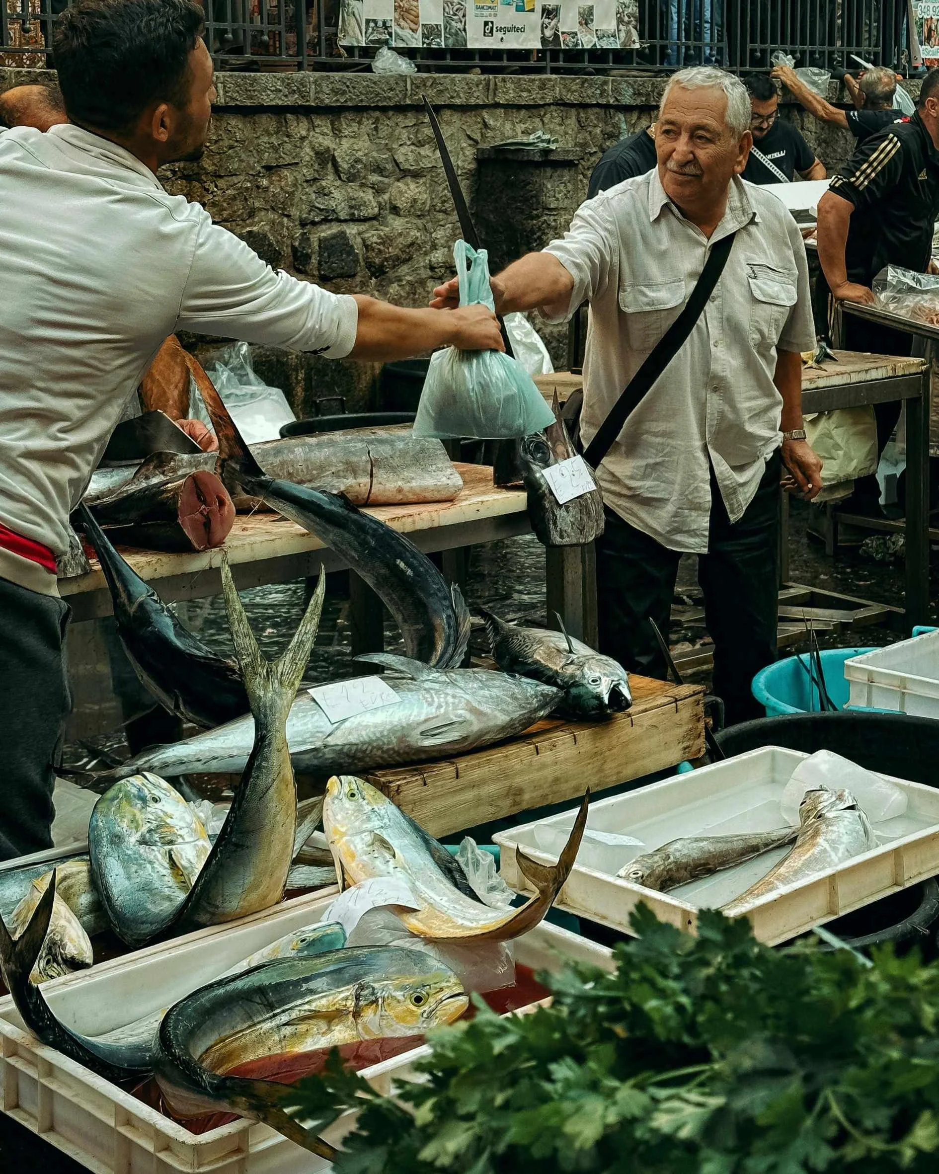 Sicily All womens tours and markets of Sicily.jpg