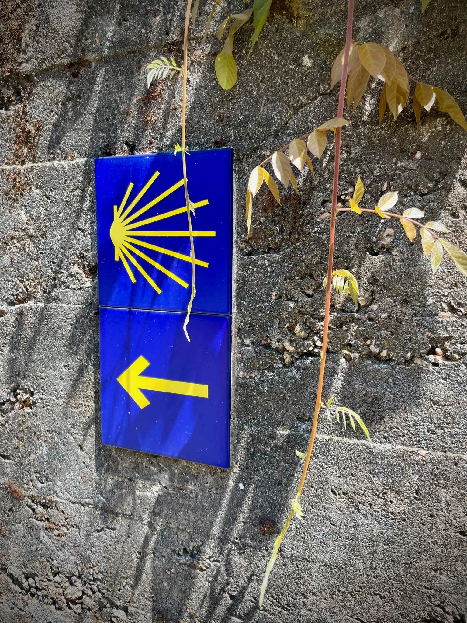 Walking The Camino de Santiago, Spain 