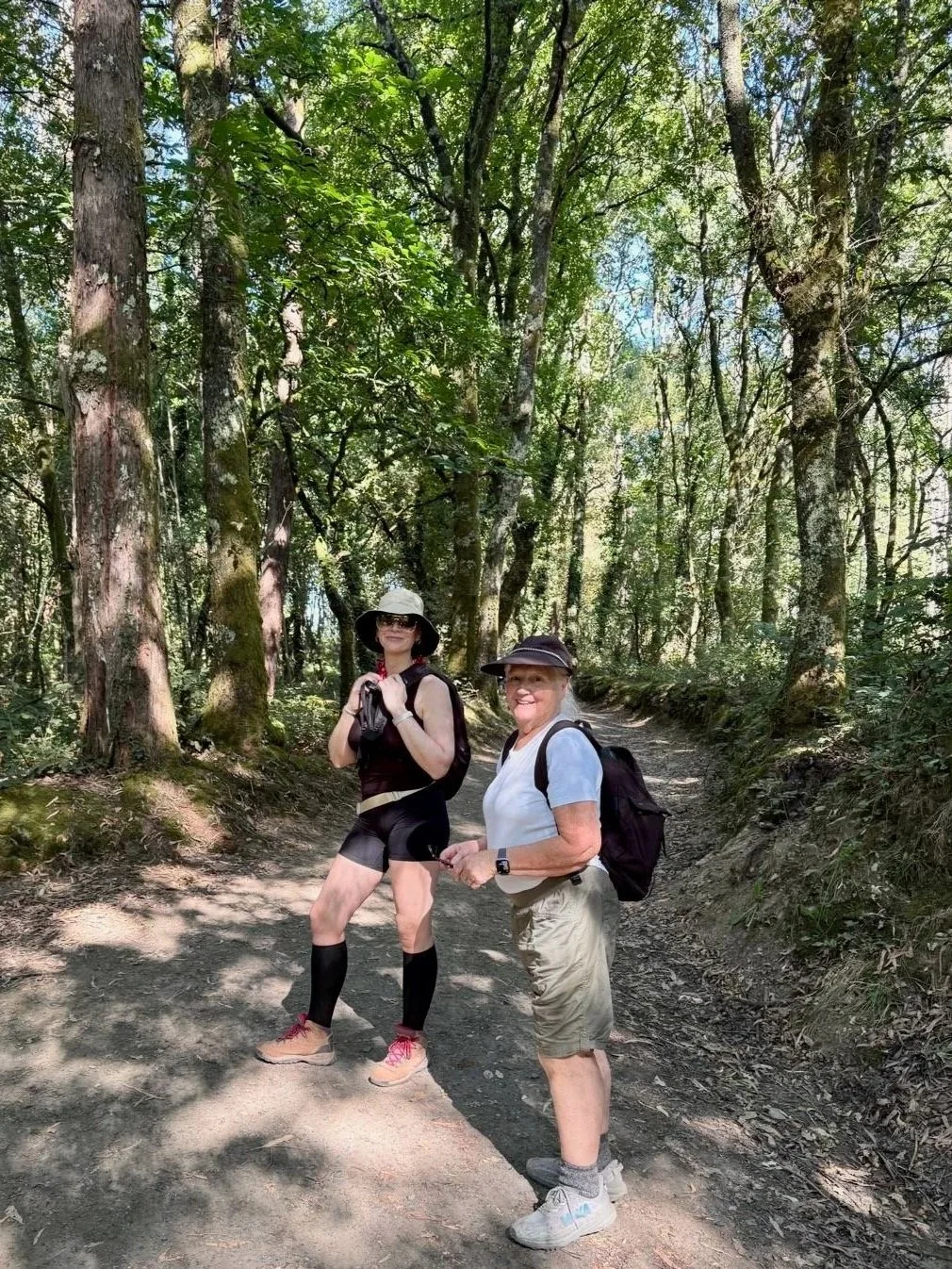 guided+Camino+trip+for+solo+female+travelers+making+new+friends+.jpg