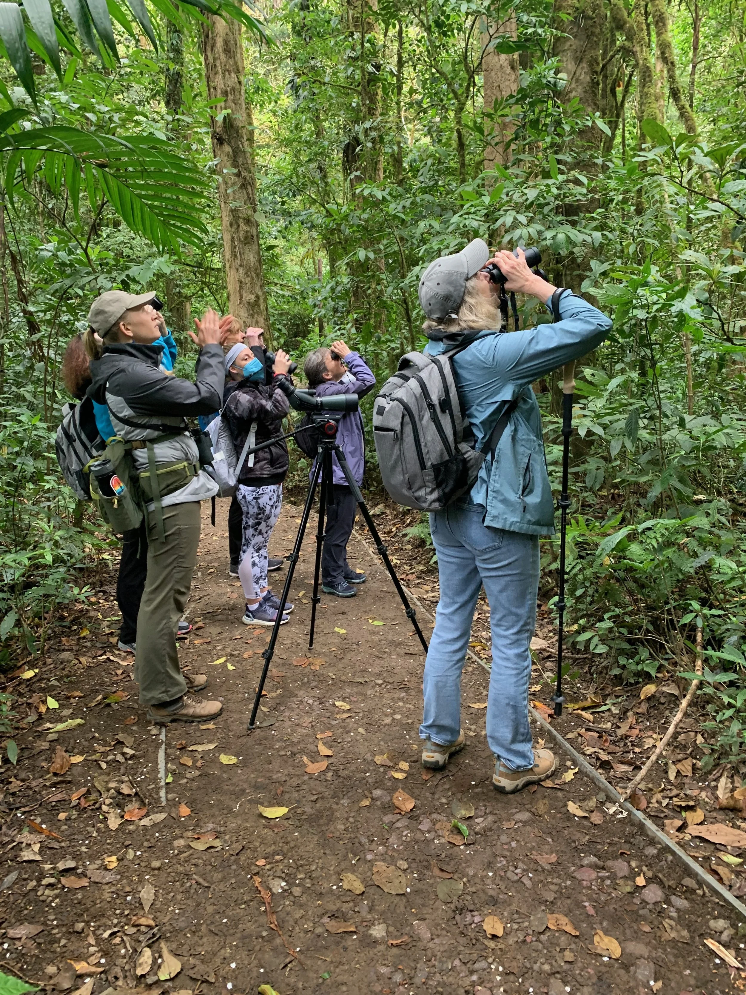 solo female travel Costa Rica with biologist.jpeg