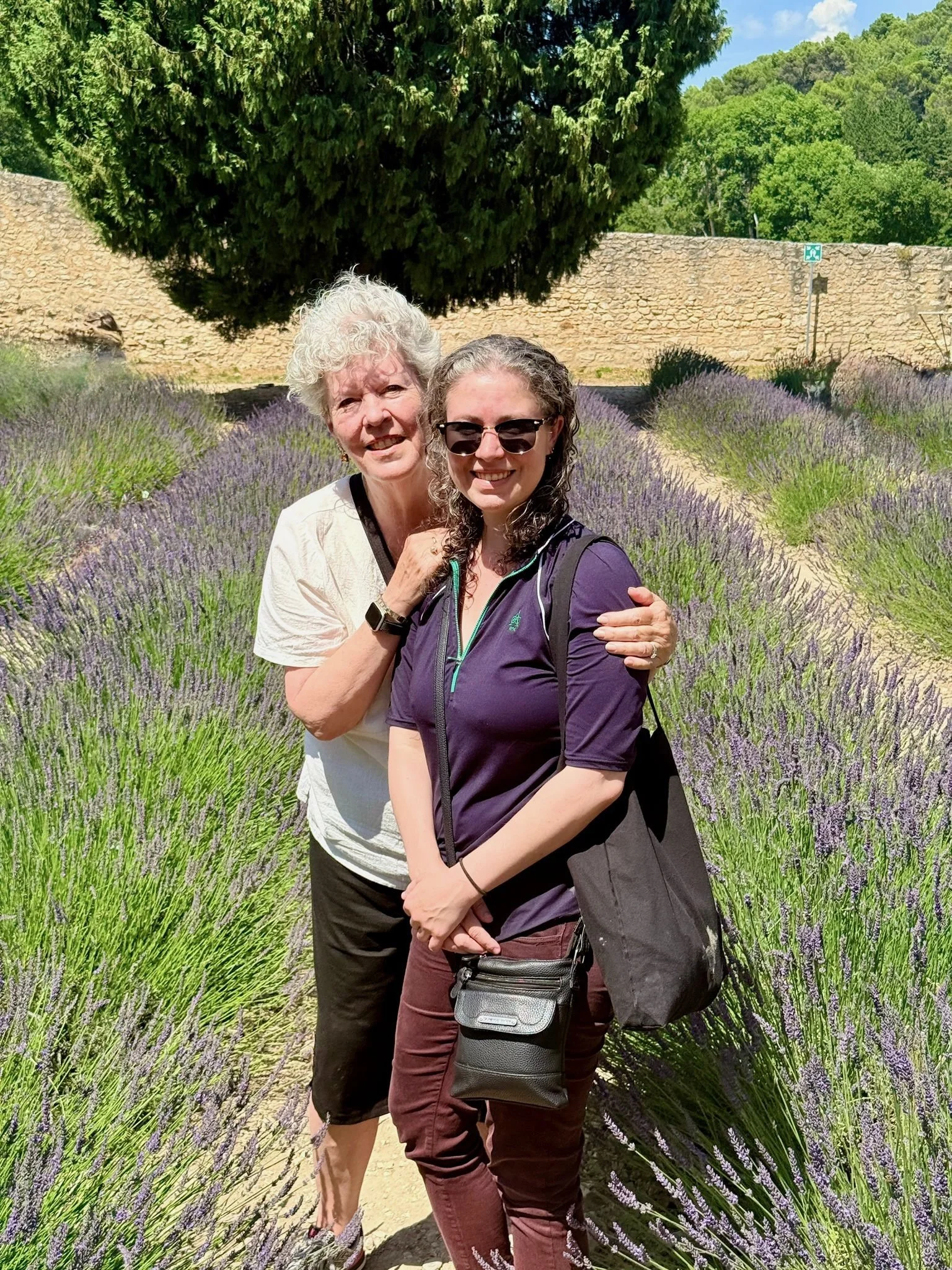 Abbaye Notre-Dame de Sénanque womens tour to Provence Lavender Fields .jpeg