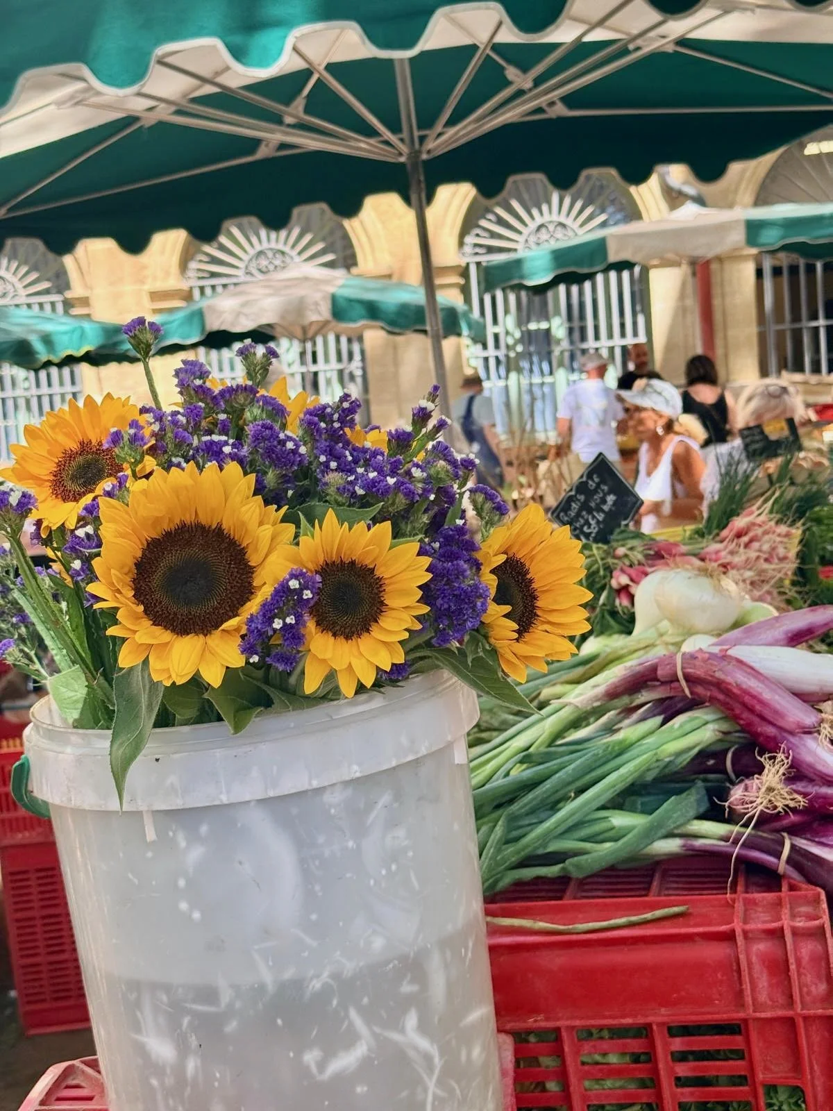 Flower stand at market in aix en provence, France