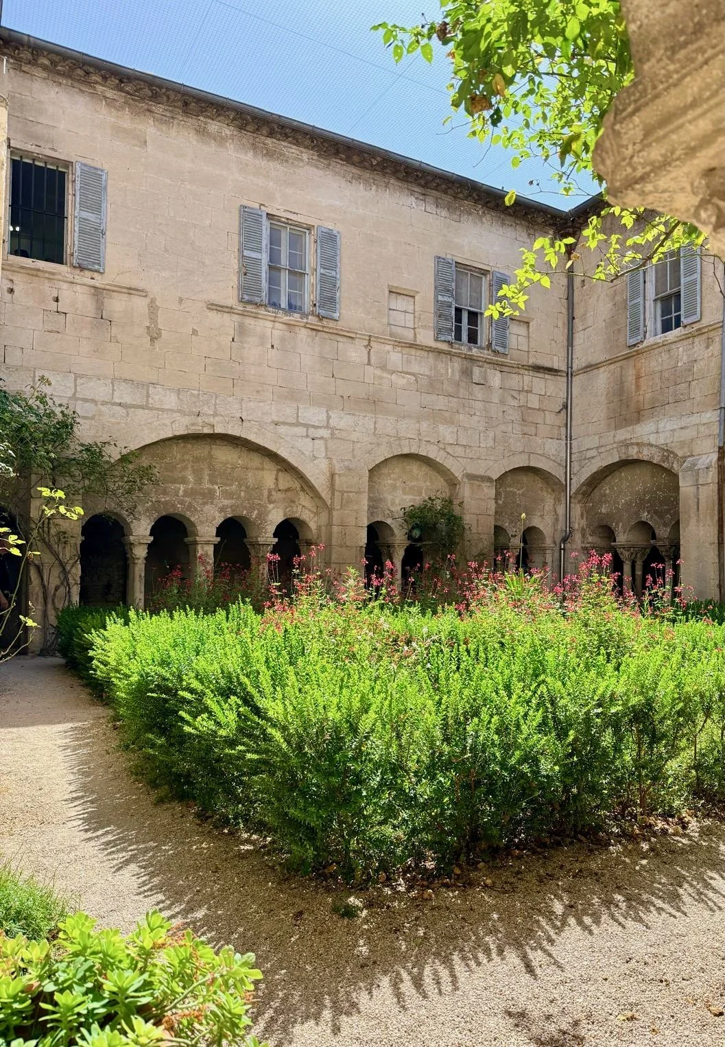 women_s france tour provence gardens.jpeg