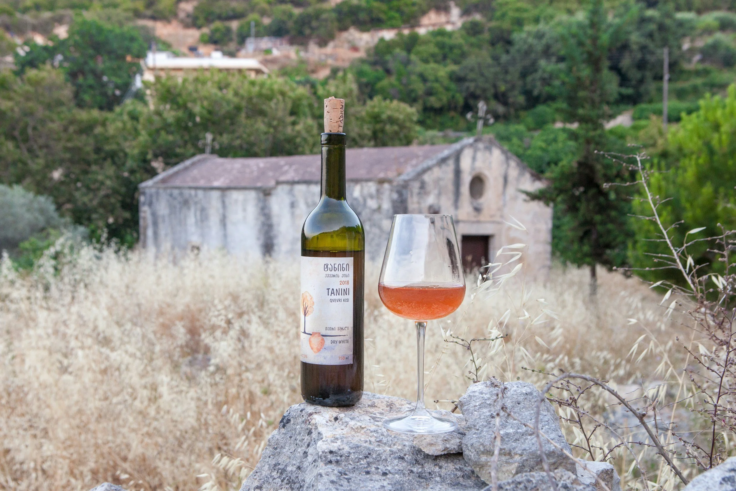 Sicily wine country