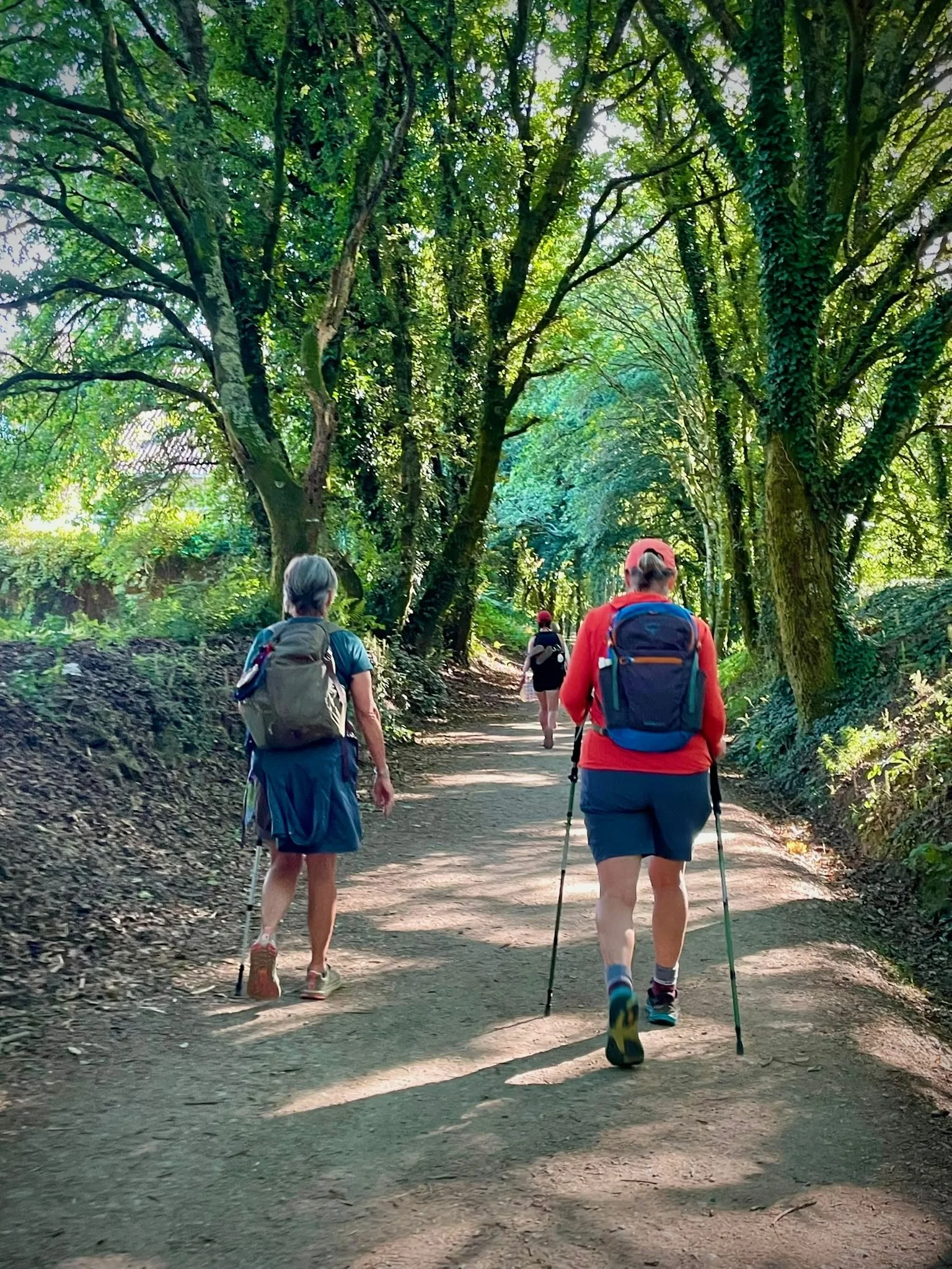 guided Camino trip for solo female travelers on the Portuguese Way.jpeg