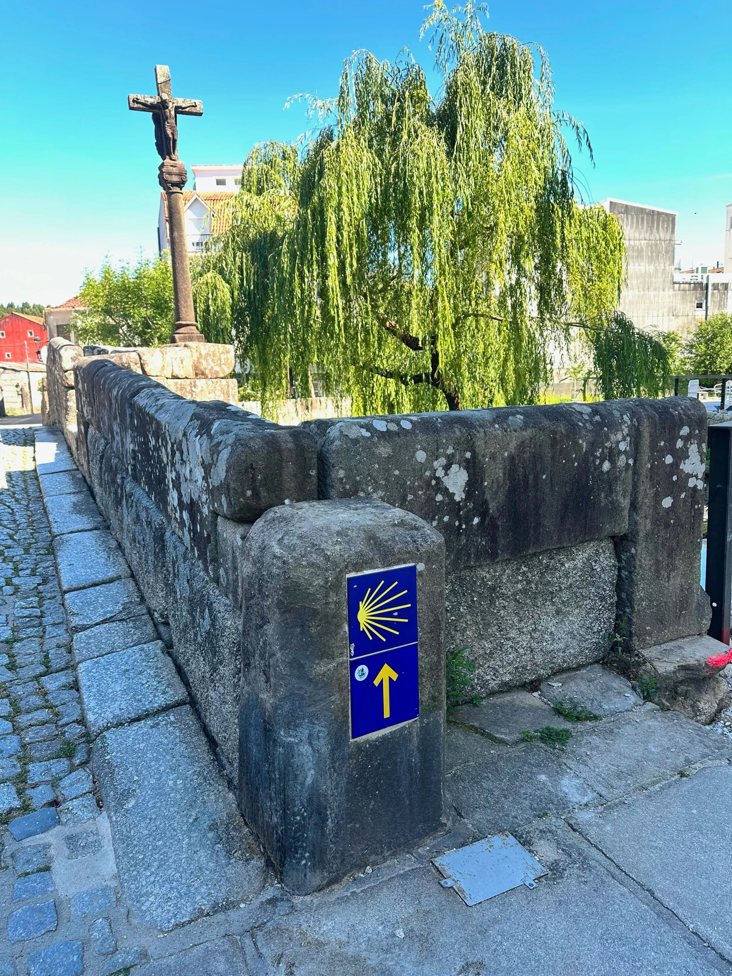 guided Camino trip for solo female travelers trail.jpeg