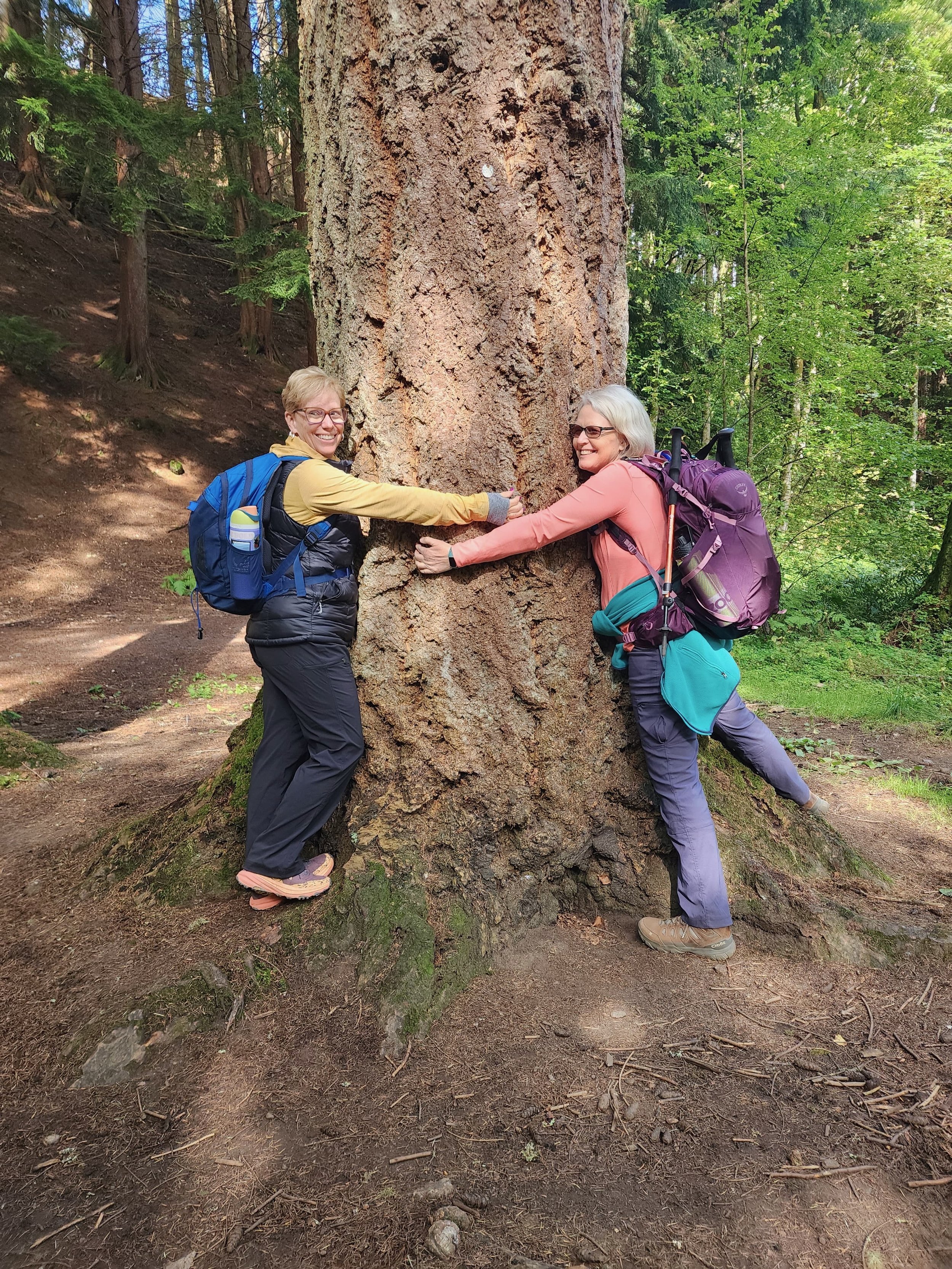 Two women hugging a tree on a hike in the Scottish Highlands