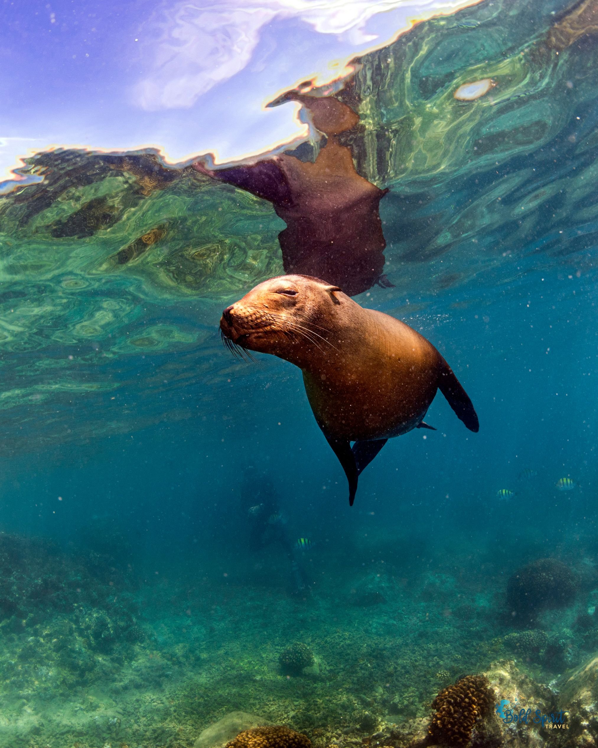 guided Galapagos trip for solo female travelers.jpg