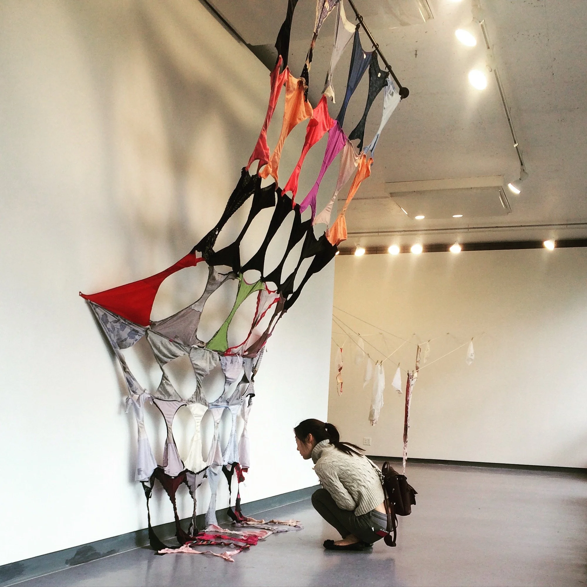 Installation of panties collected, used, & unwashed, dimensions variable.