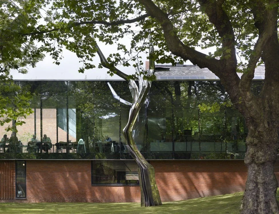 Between Architecture and Nature: Anya Gallaccio’s Ghost Tree