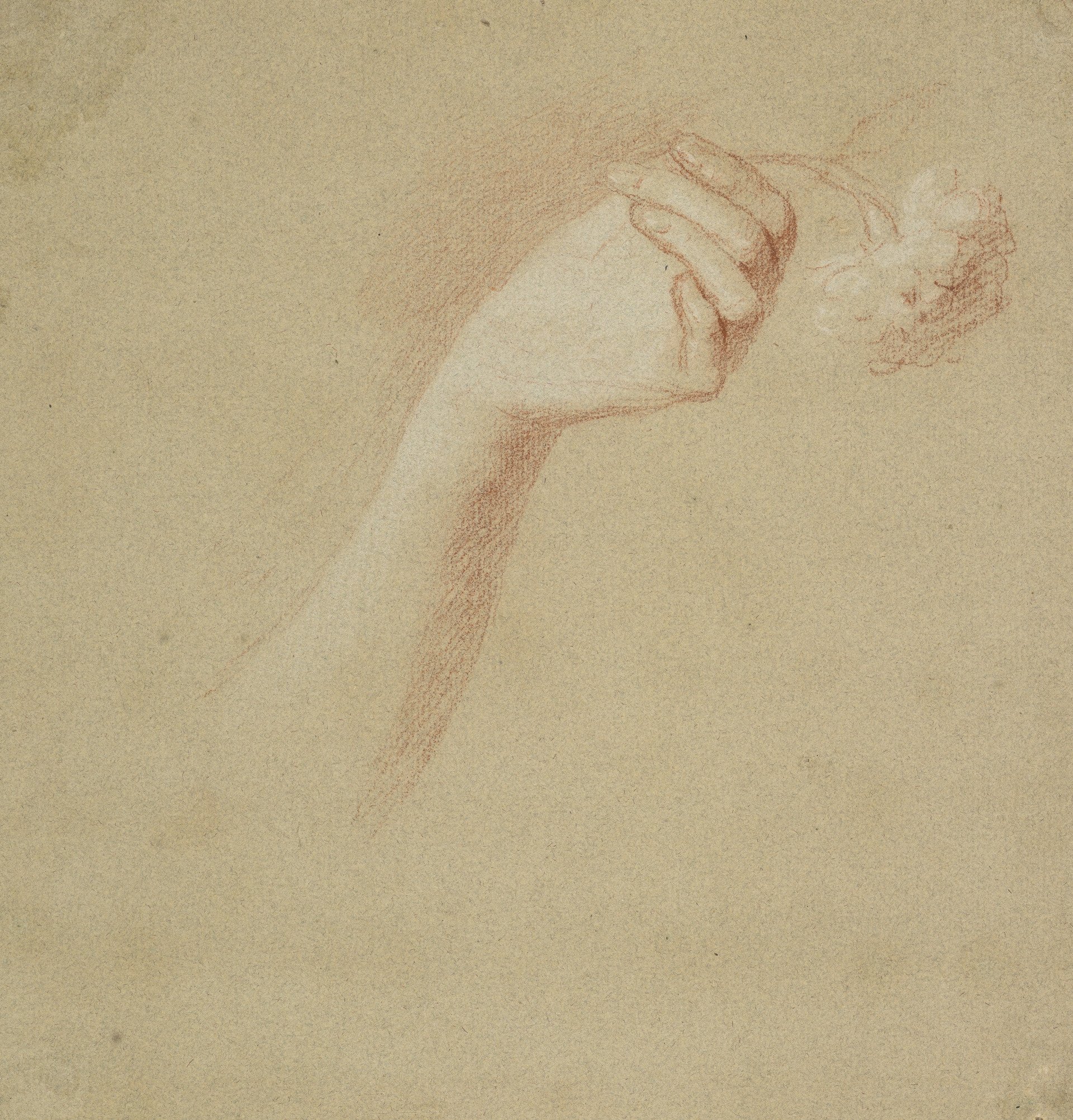 Allan Ramsay, A Lady's Left Hand Holding a Rose, c. 1758 - 1760. Red and white chalk on buff paper, 19.40 x 18.70 cm. Courtesy National Galleries Scotland, Edinburgh.