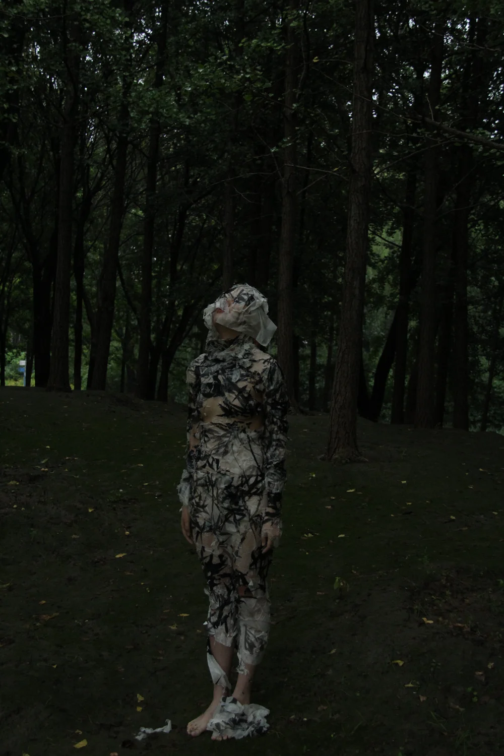 fb0f7cc50k0cf57bfe4927ea12cb50af - weiyu dou.JPG