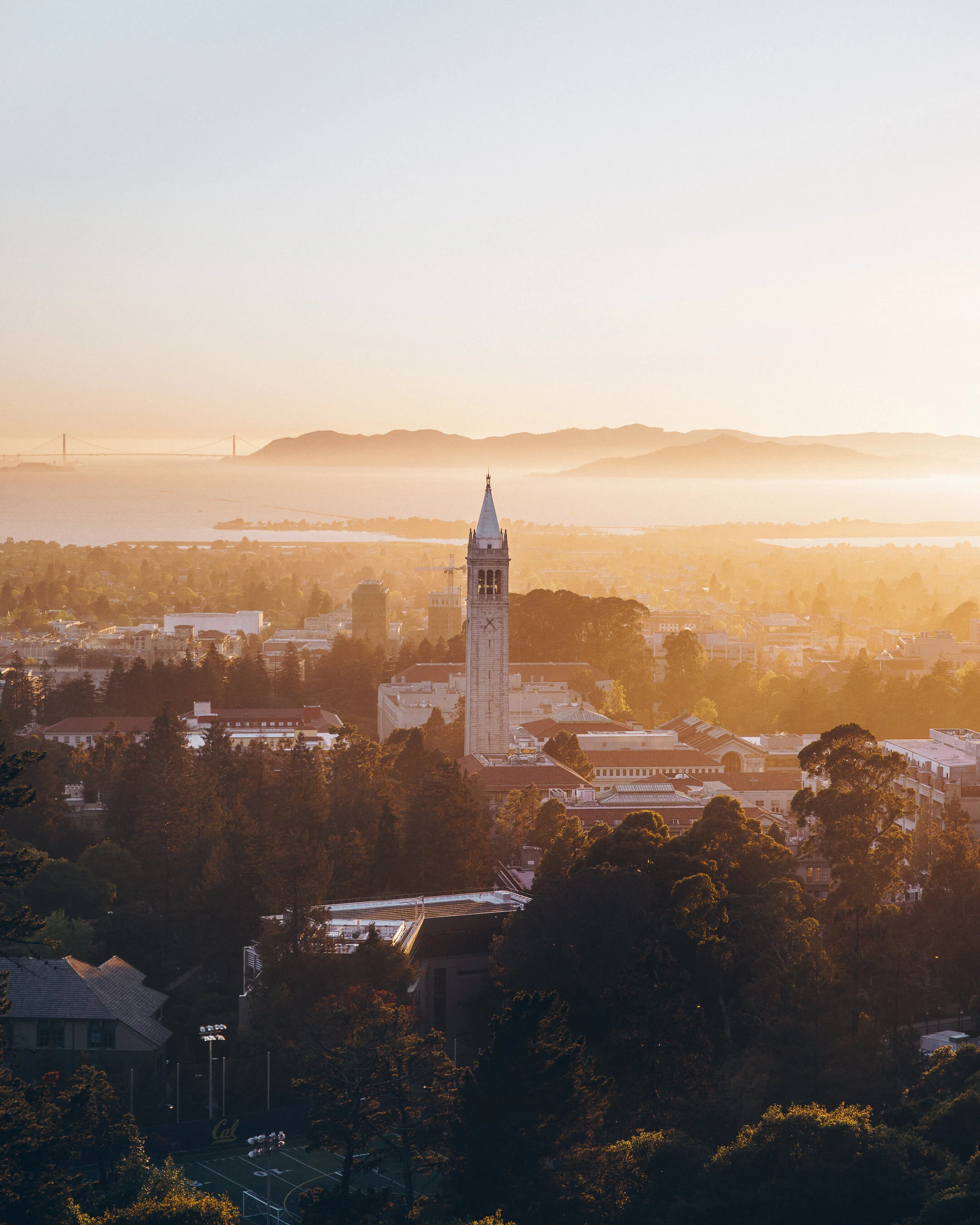 Golden Bear Territory