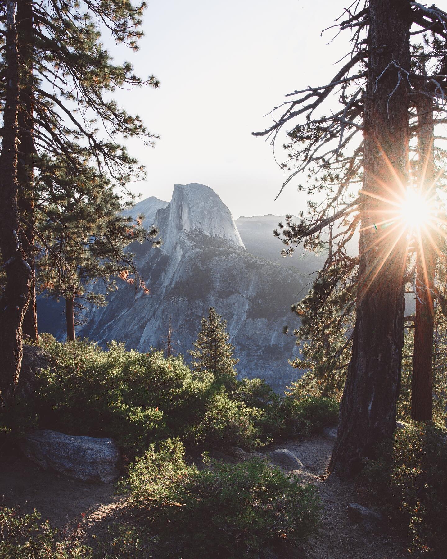 Celebrating #EarthDay with one of those magical sunrises over the park