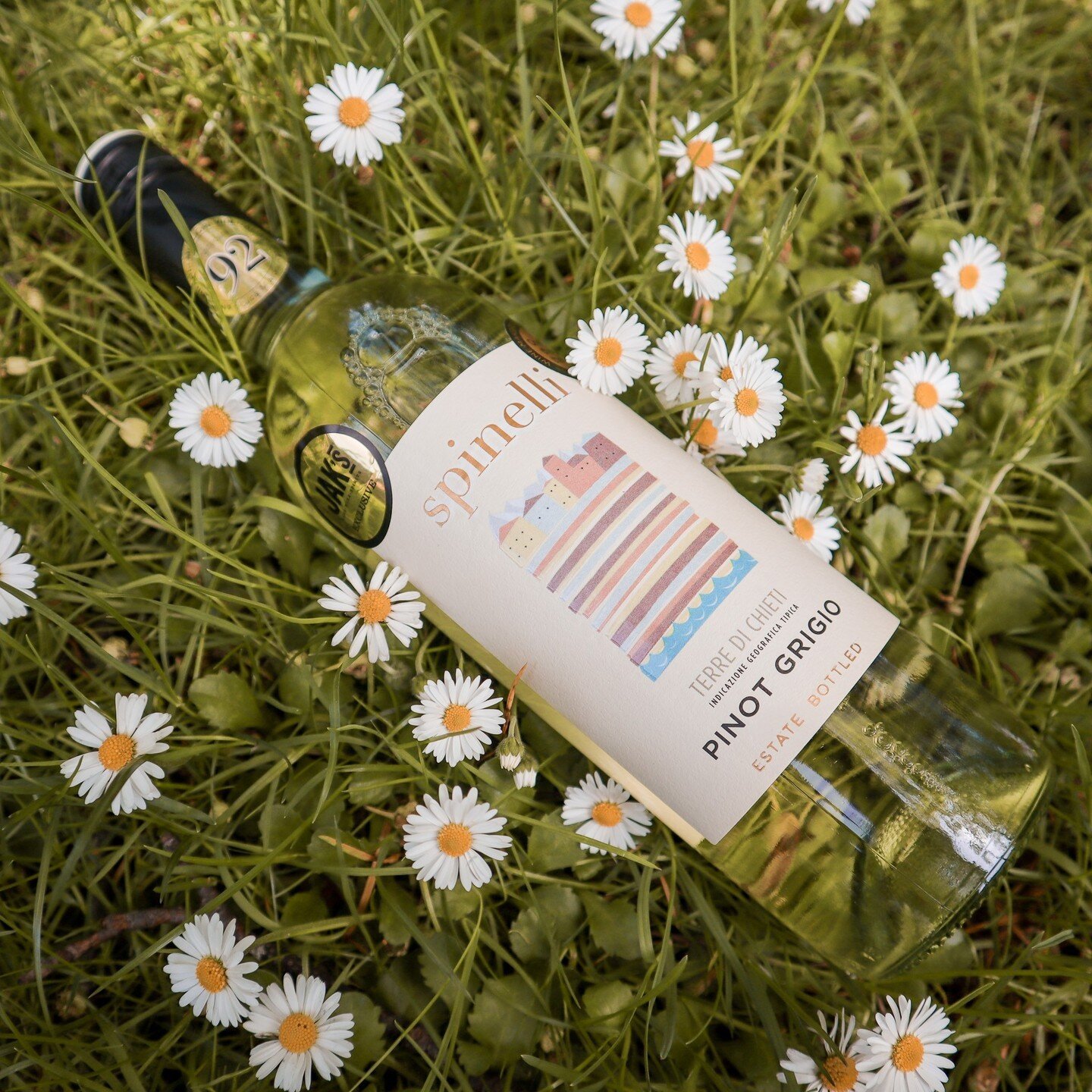 Celebrate International Pinot Grigio Day with Spinelli! Their Pinot Grigio, sourced from Italy's Veneto region, is a crisp, refreshing white wine. With vibrant flavours of citrus fruits, green apples, and a touch of floral notes, it's the perfect cho