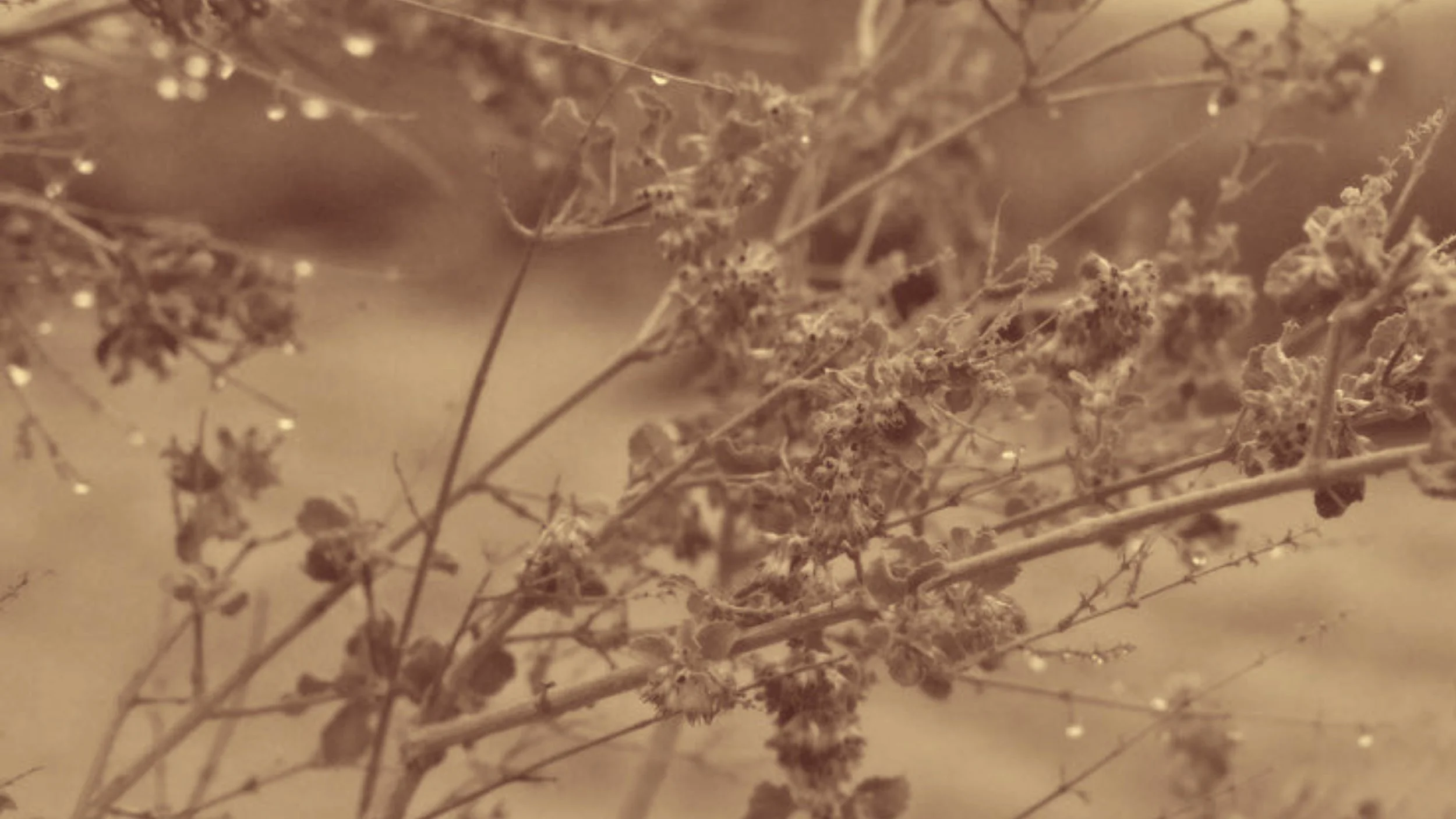 EB Garamond (11).jpg