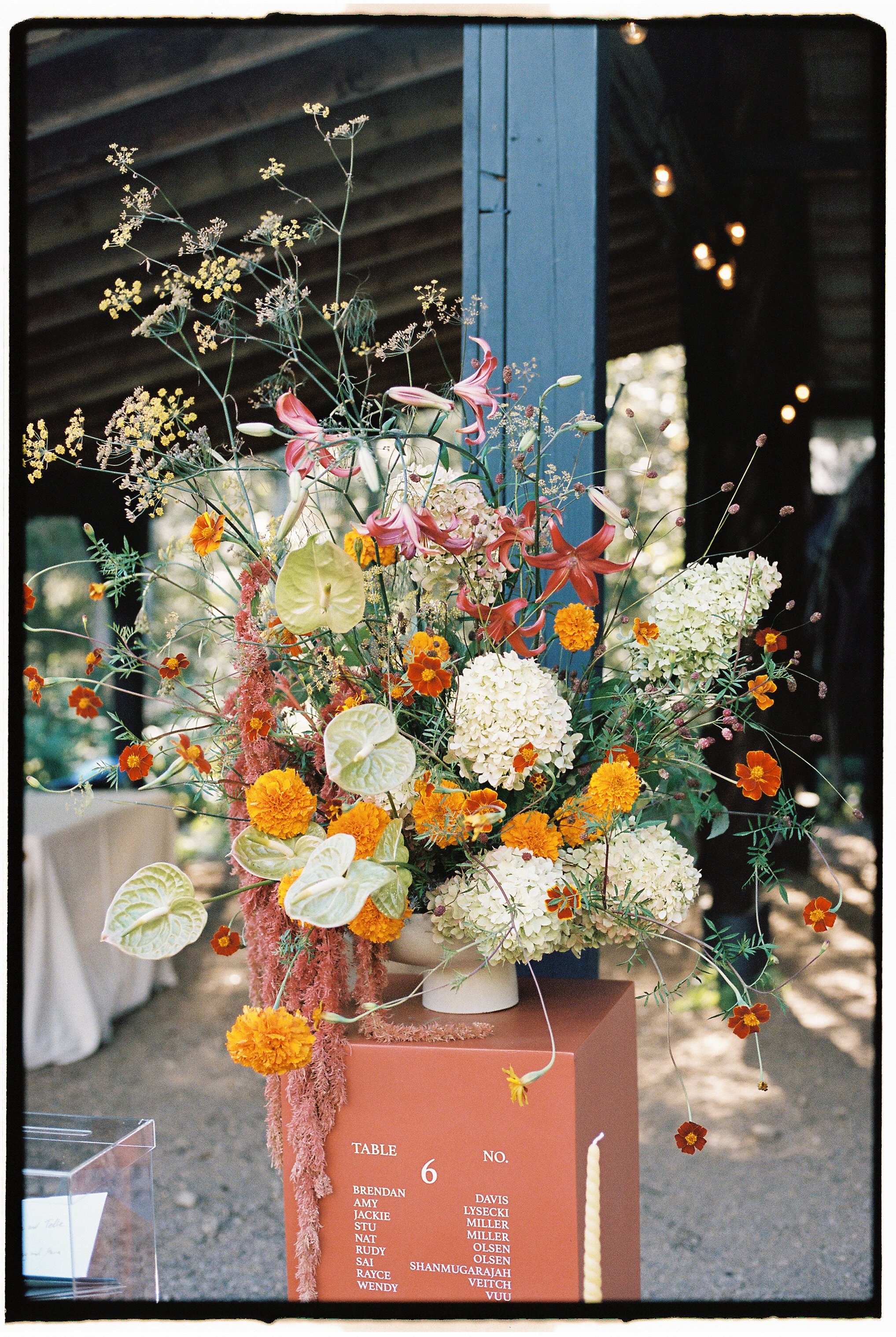 TELLIE & NATE FINAL ONLINE - BY JACKLYN BARBER-249.jpg