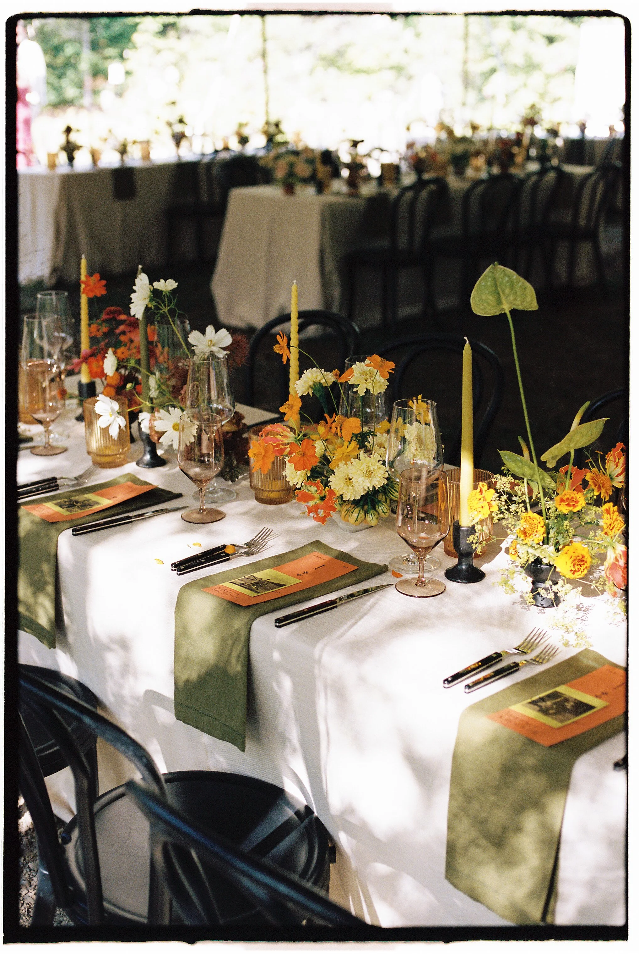 TELLIE & NATE FINAL ONLINE - BY JACKLYN BARBER-243.jpg